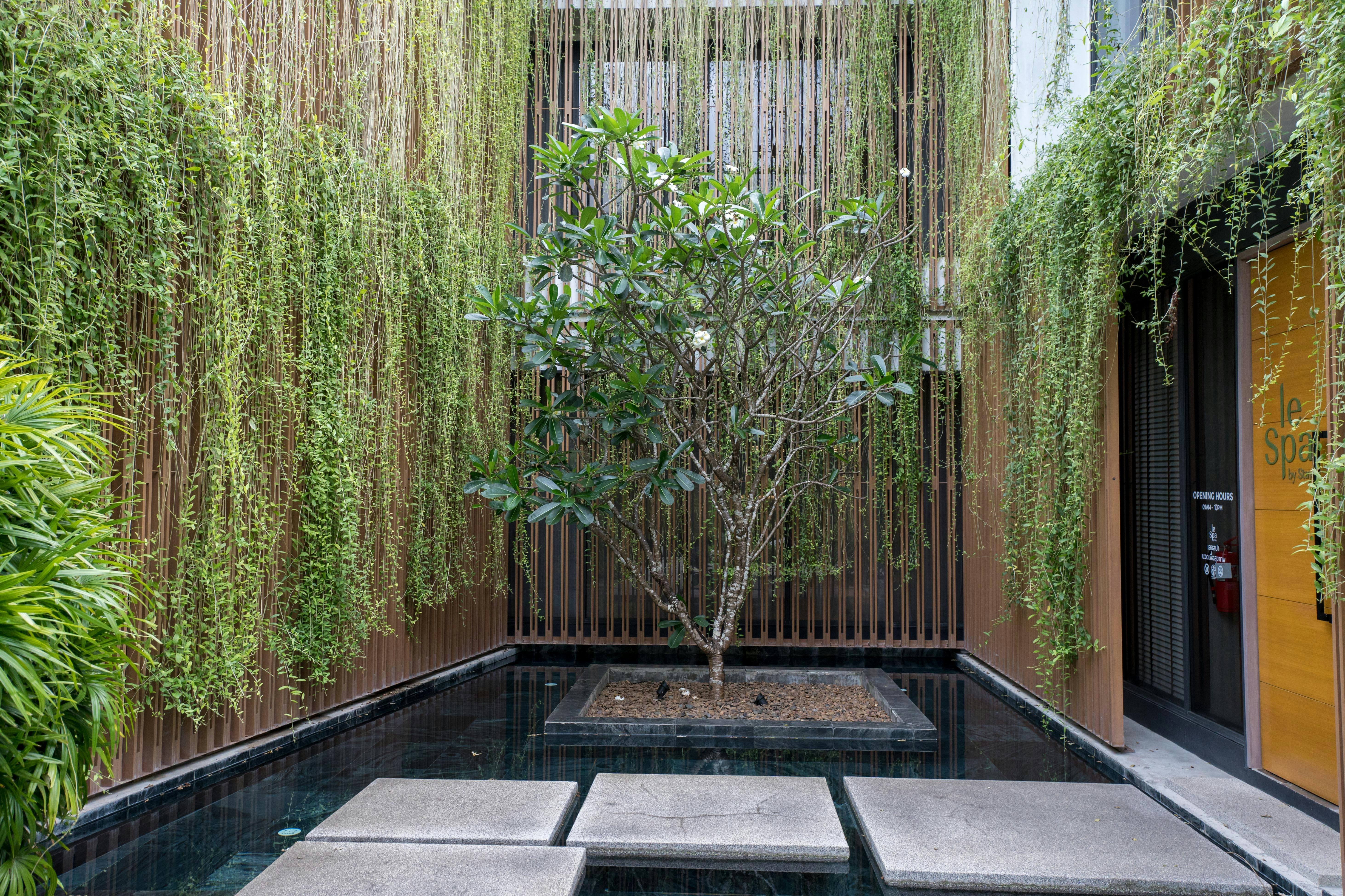 Spa atmosphere photograph 2