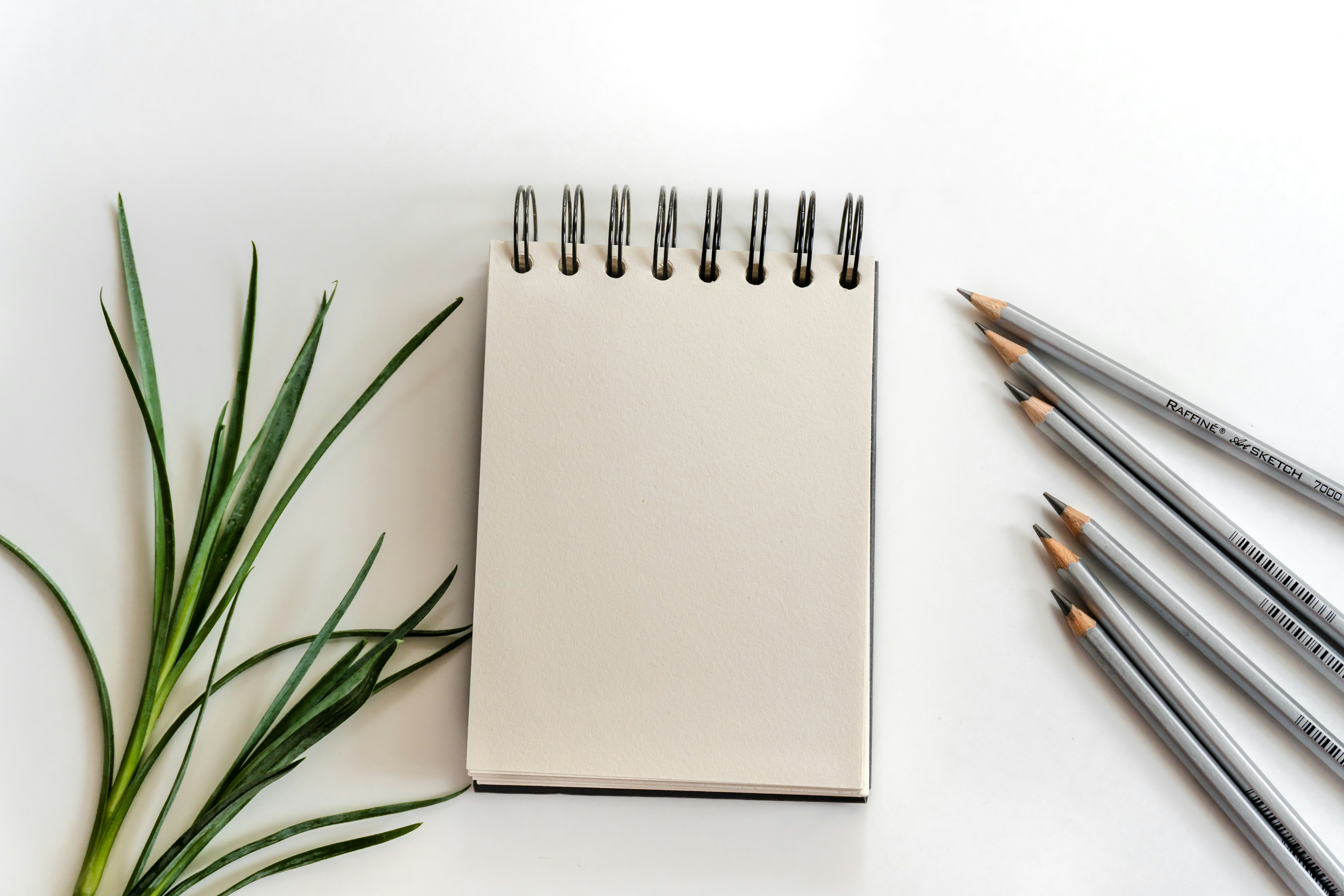 De ideale productdetailpagina: SEO en gebruiksgemak hand in hand