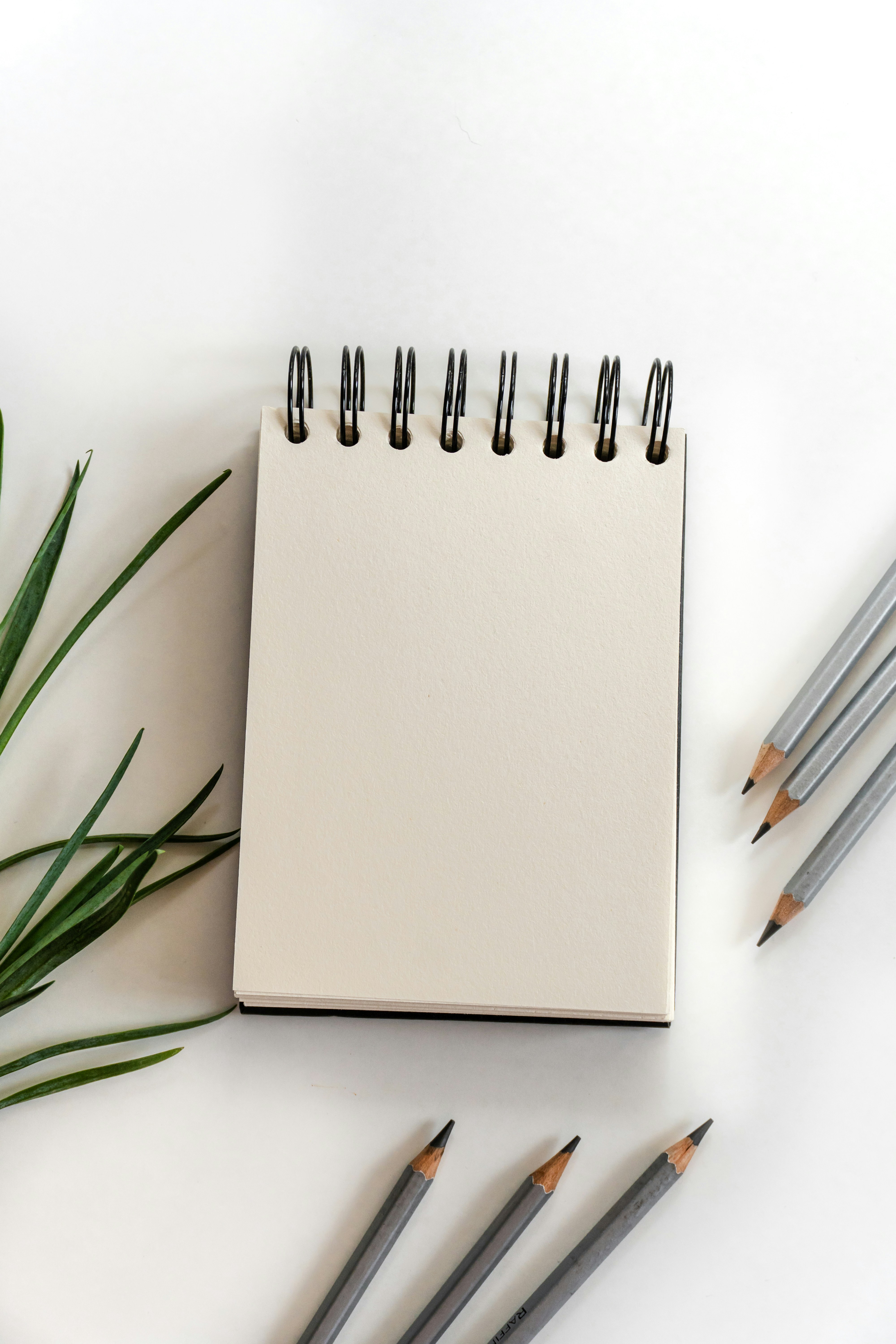 Cuaderno en blanco con lápices y hojas verdes