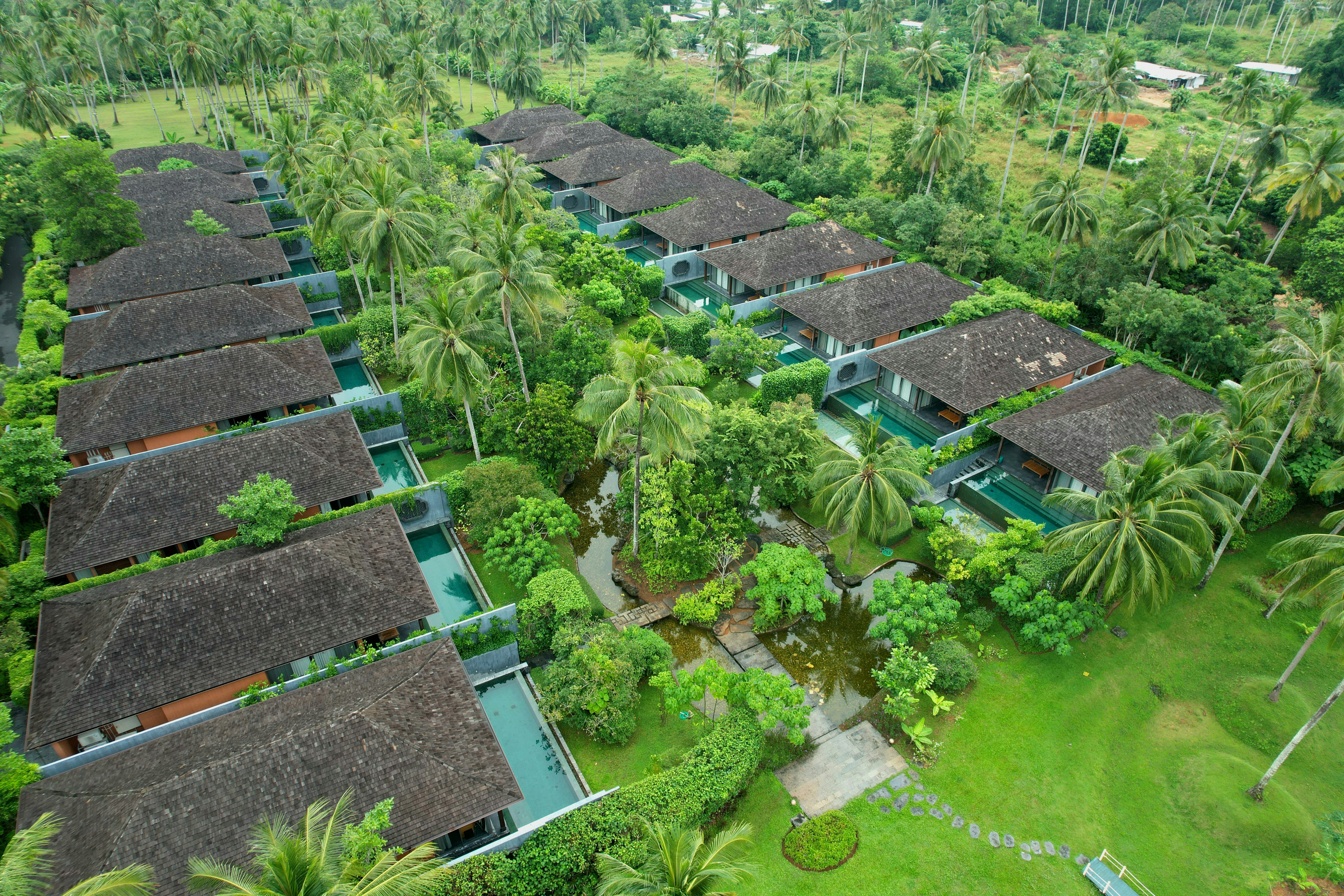 Aerial view of resort villas nestled among lush palm trees.