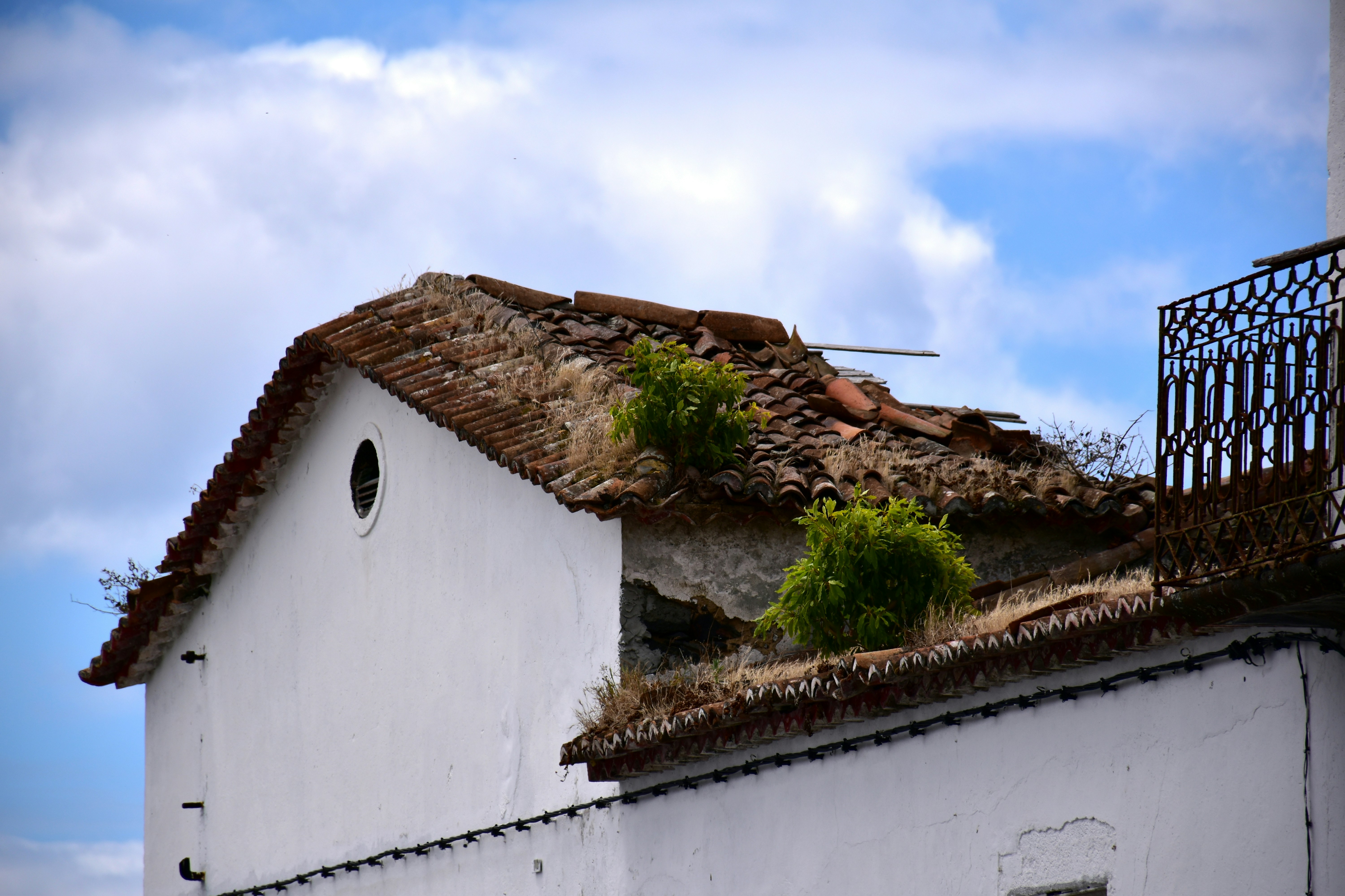 푸른 하늘 아래 무성한 식물이 있는 오래된 기와 지붕.