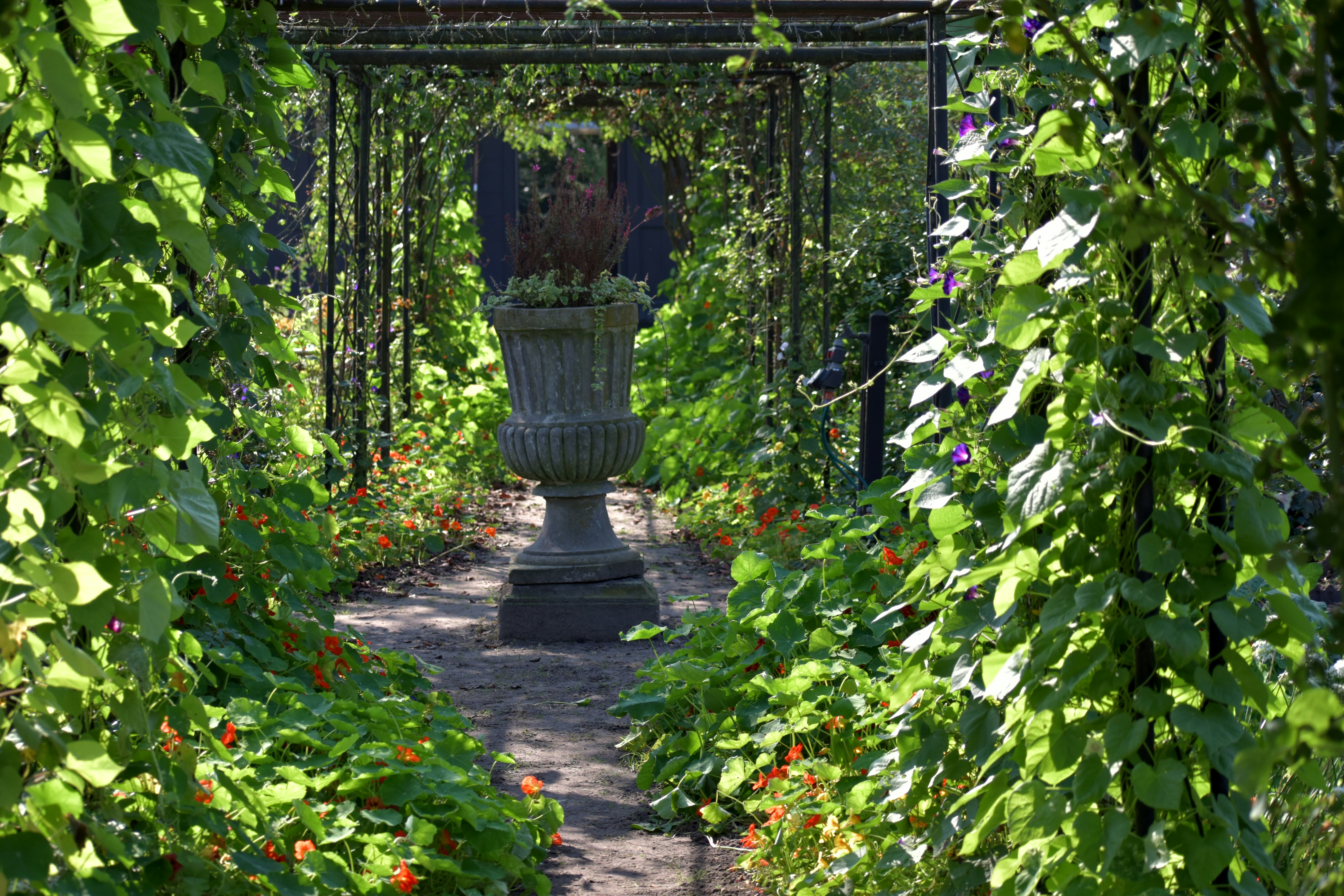 푸른 정원 길 위에 있는 돌 항아리.