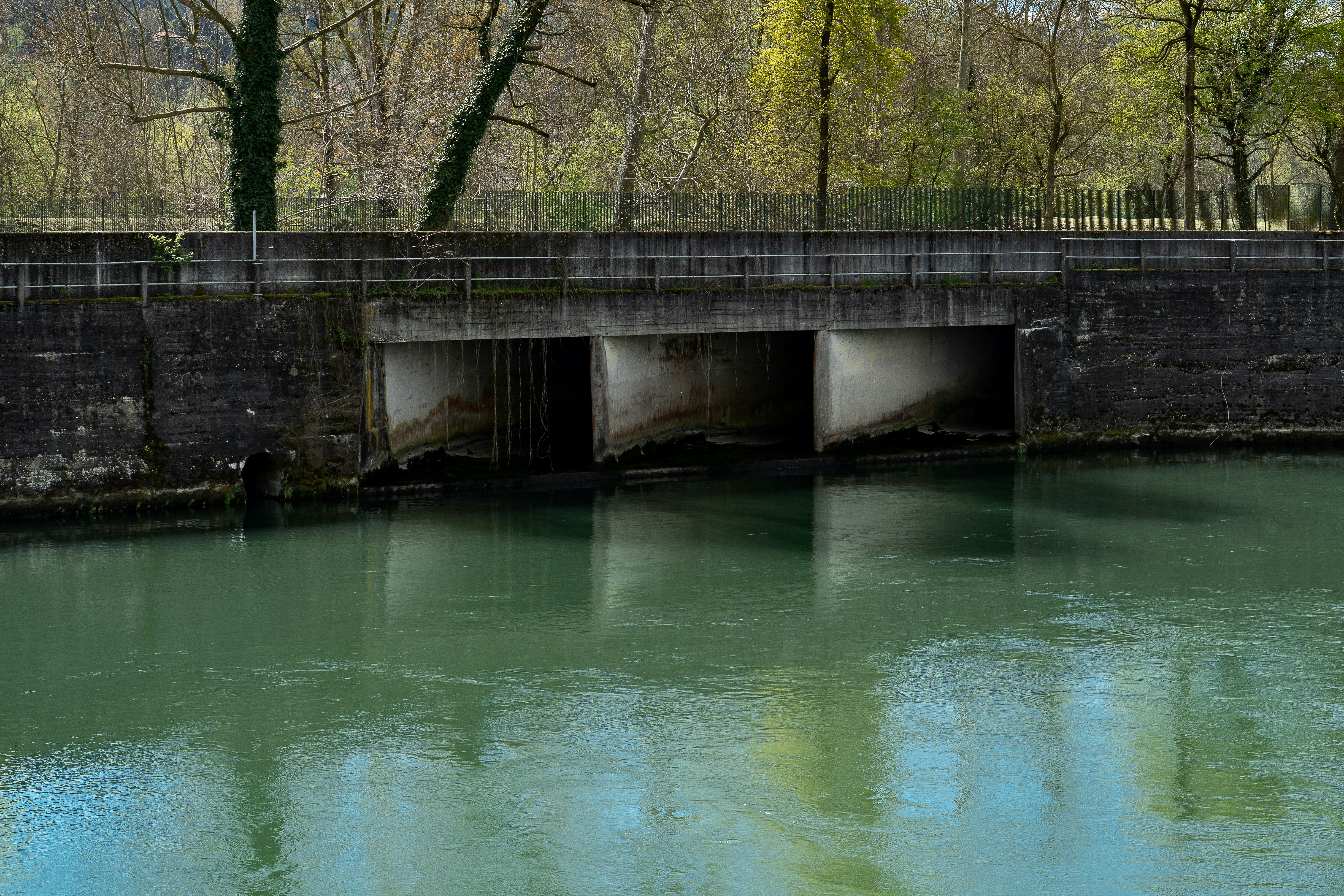Photo by artenico