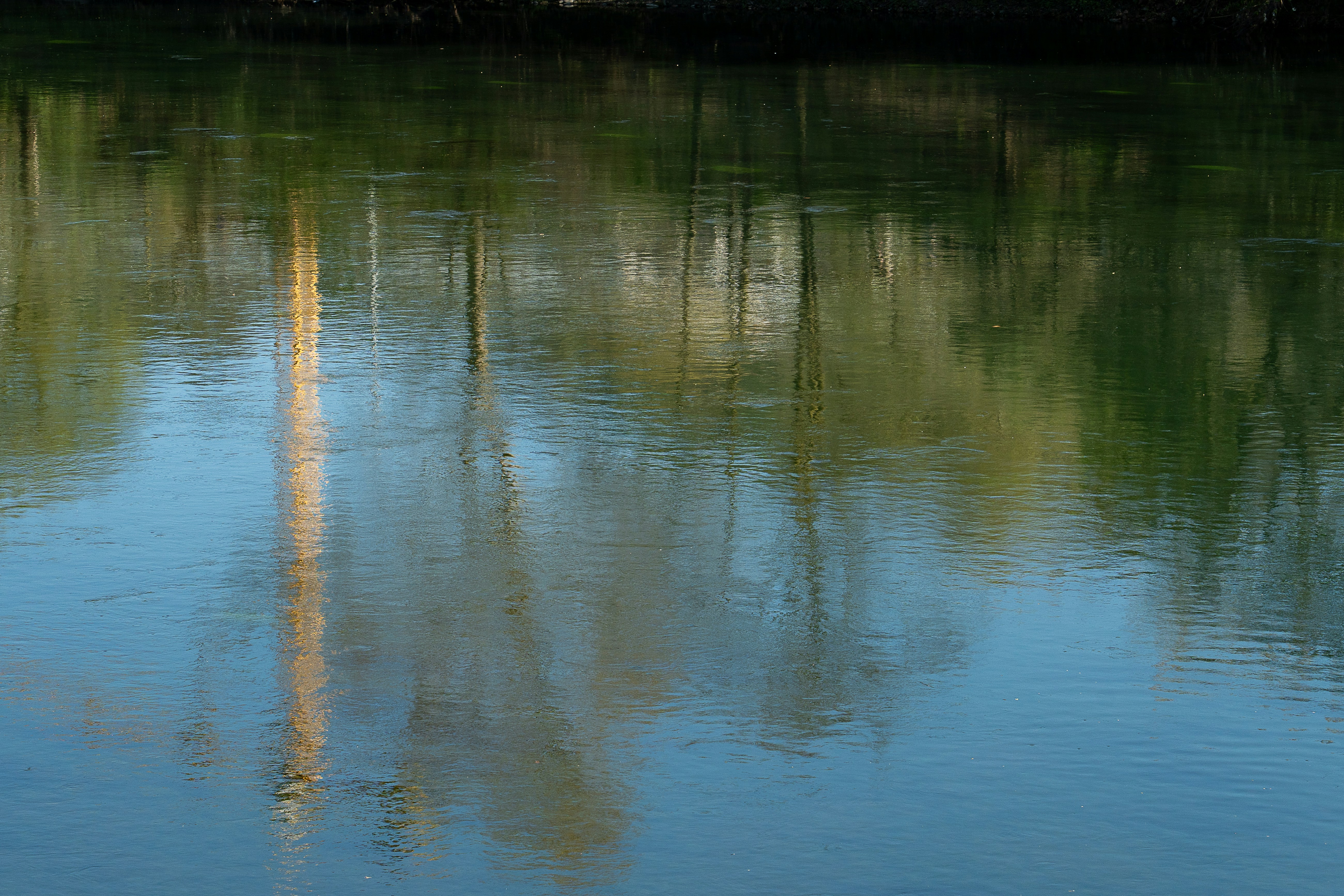 Photo by artenico