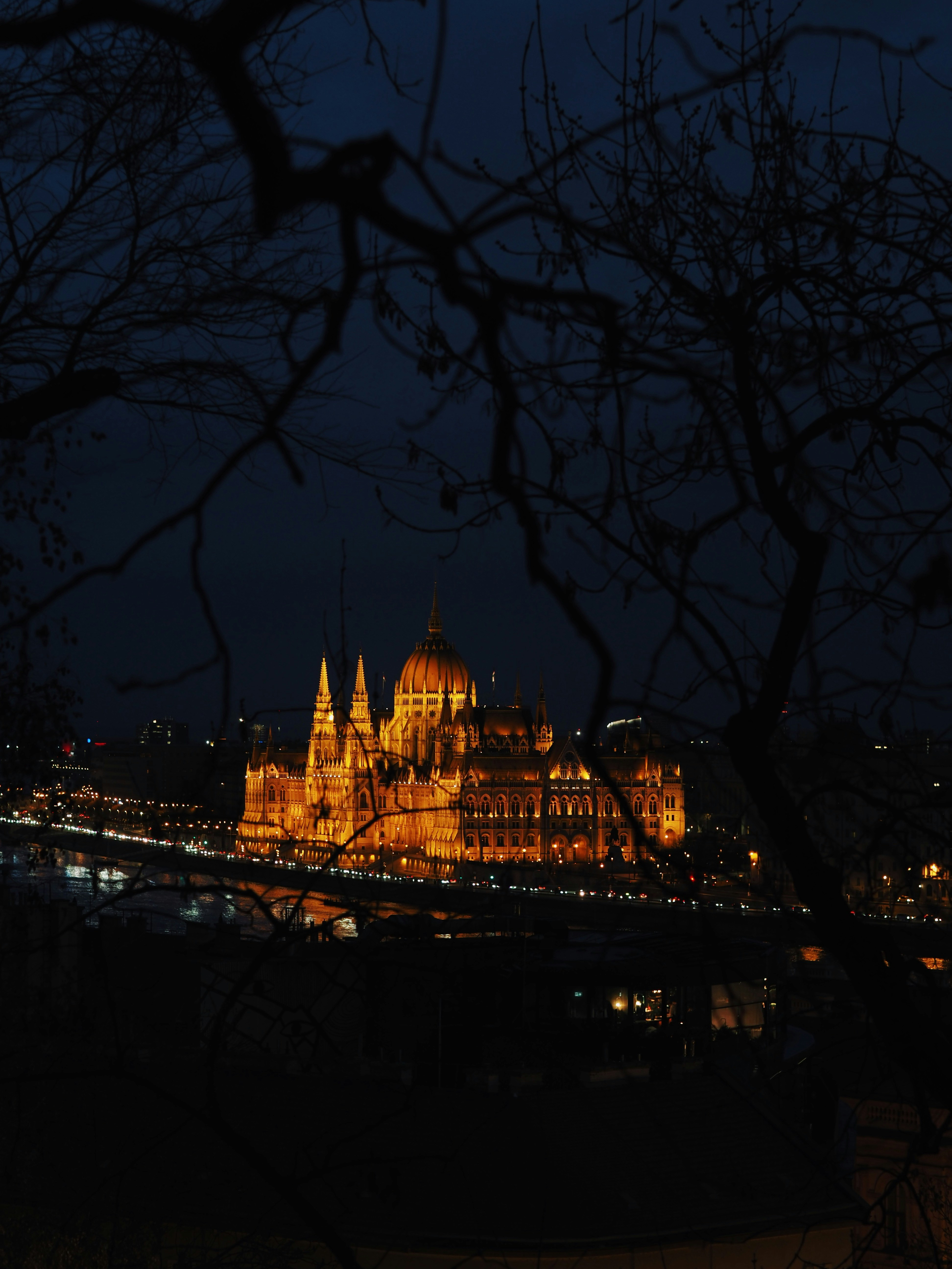 Ornate building illuminated at night with city lights
