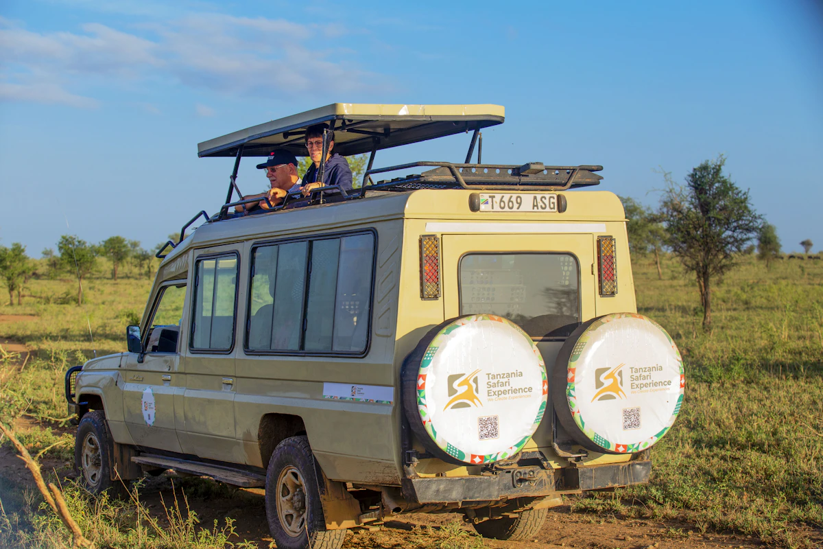 Safari adventure