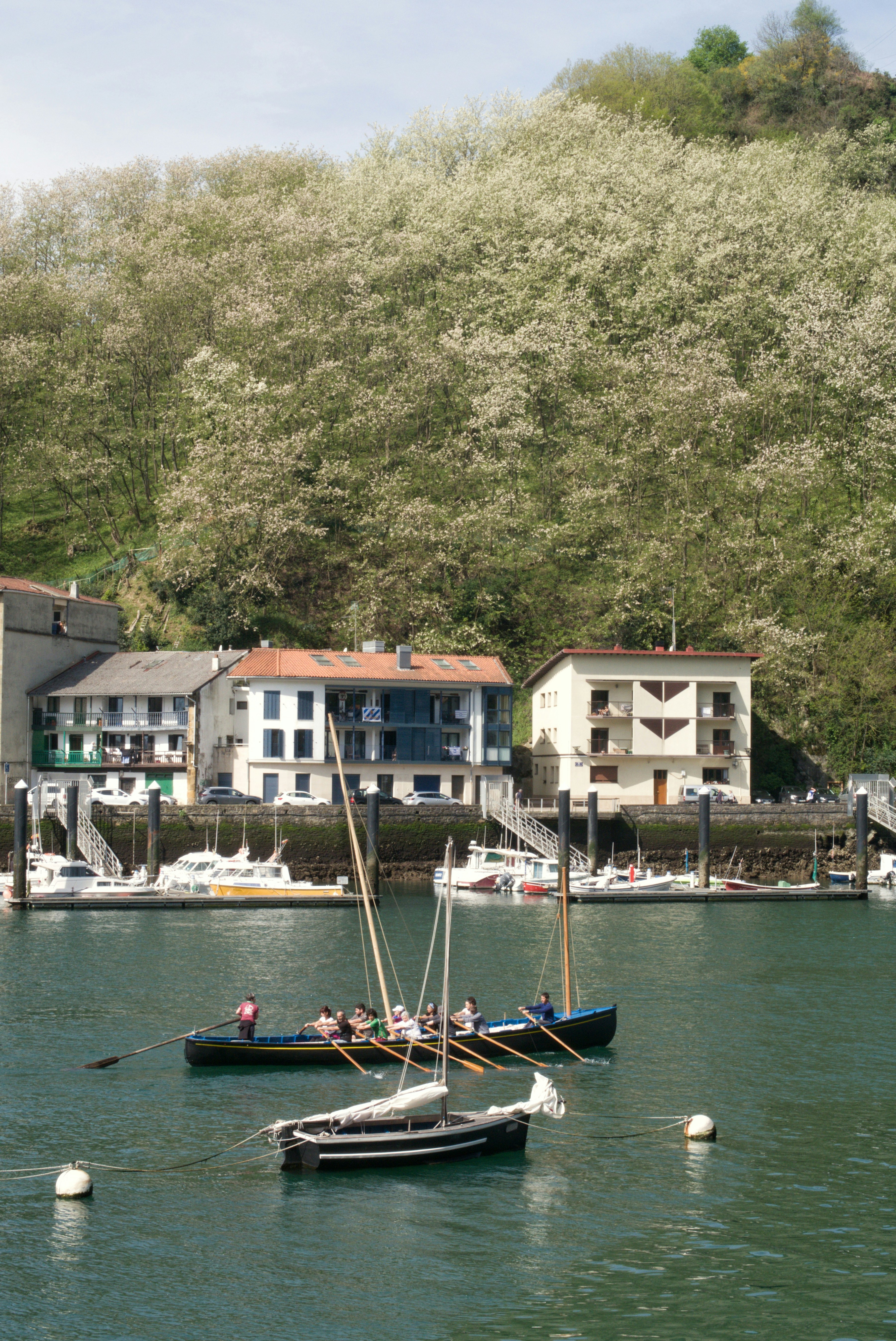 Boats on the water with buildings and trees