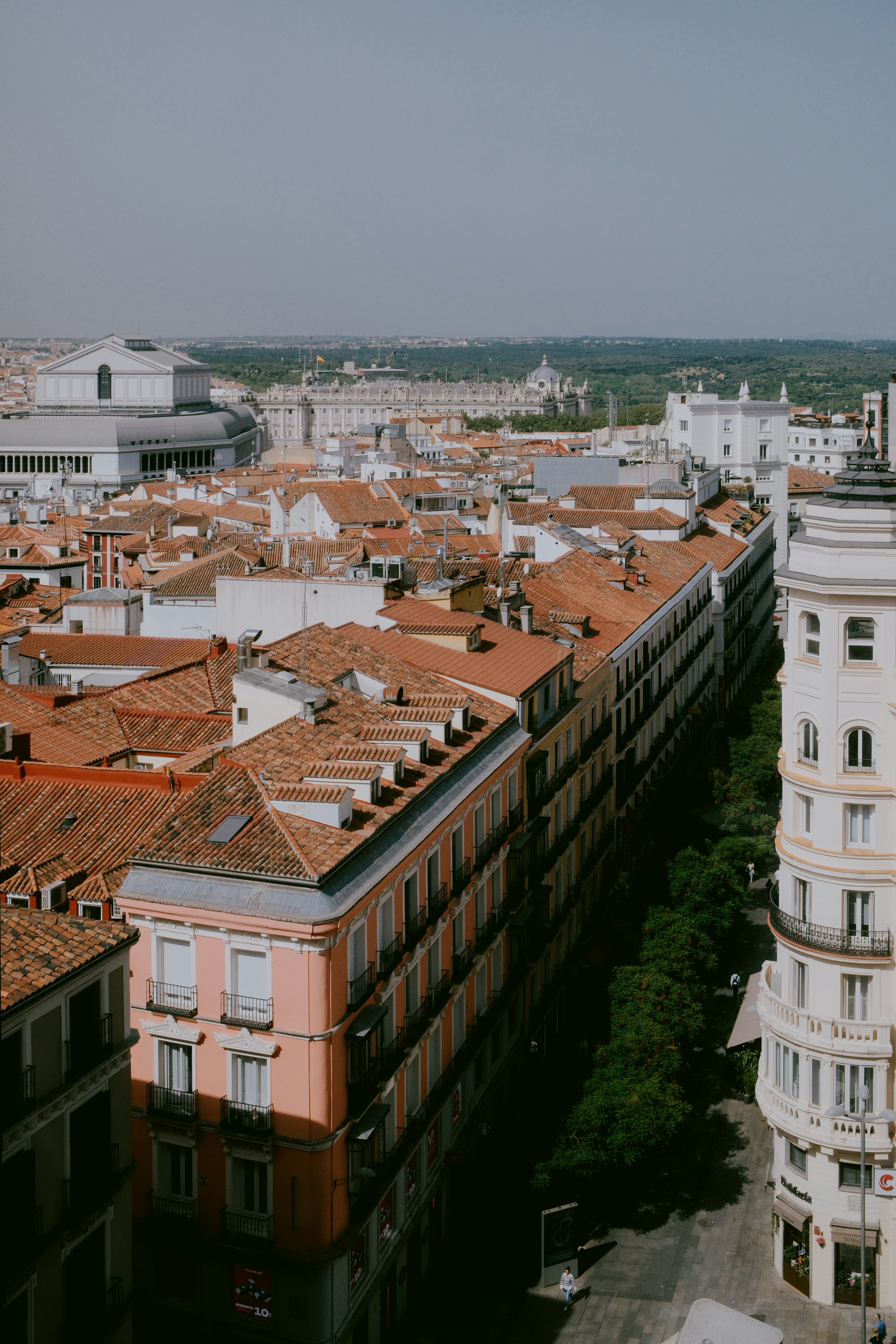 Rooftops of a european city with distant buildings.