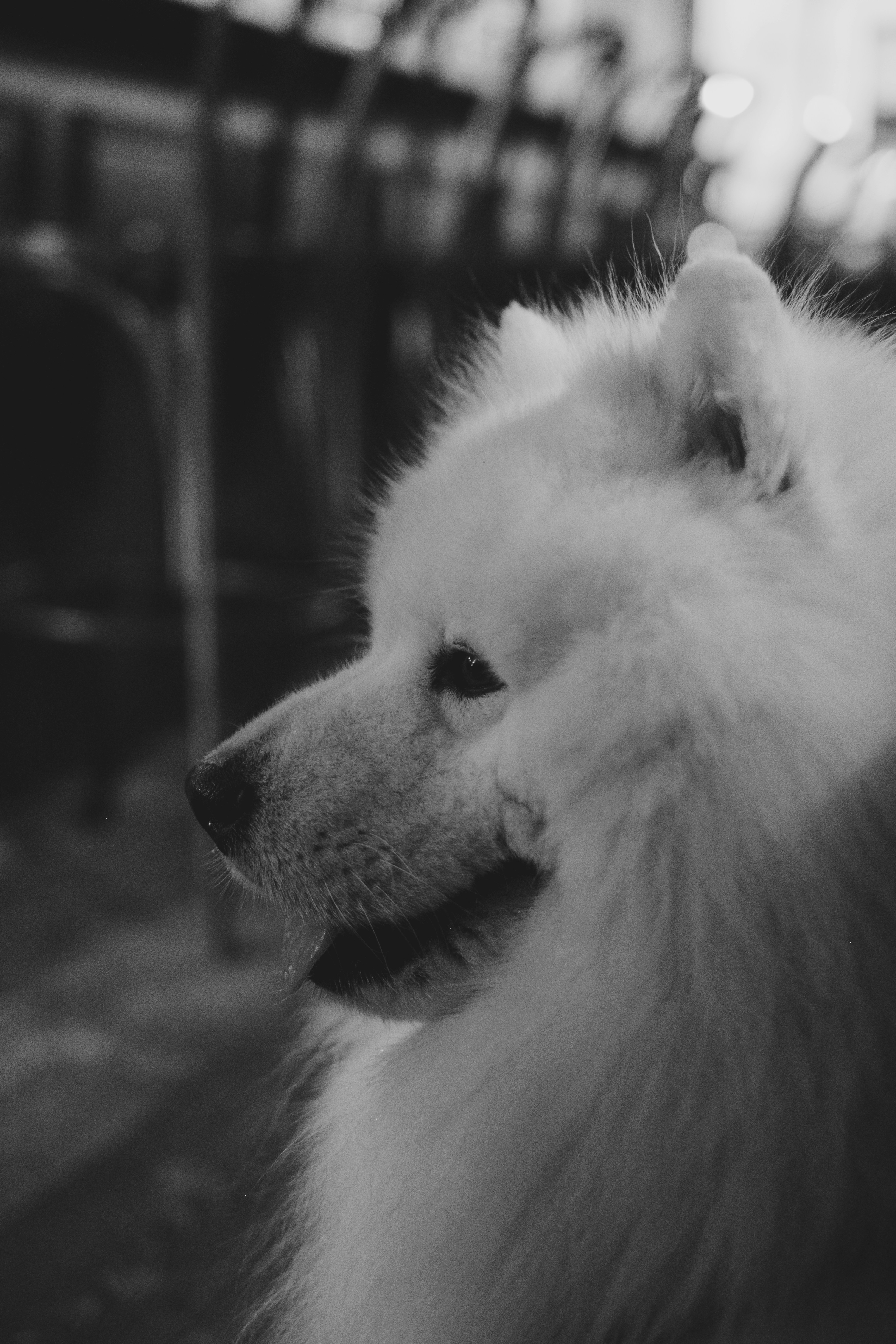 Photo by haberdoedas