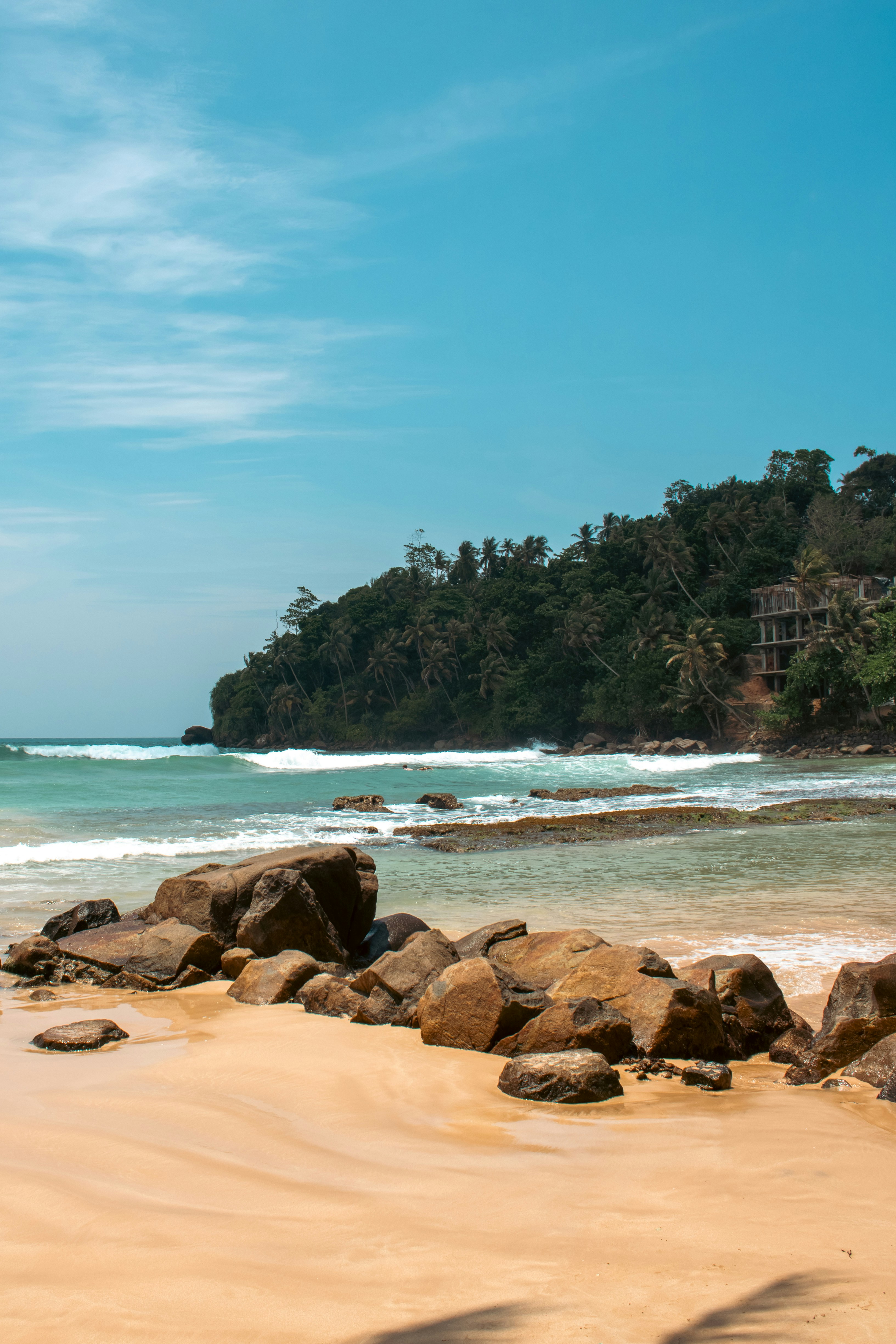 Tropical beach with palm trees and ocean waves