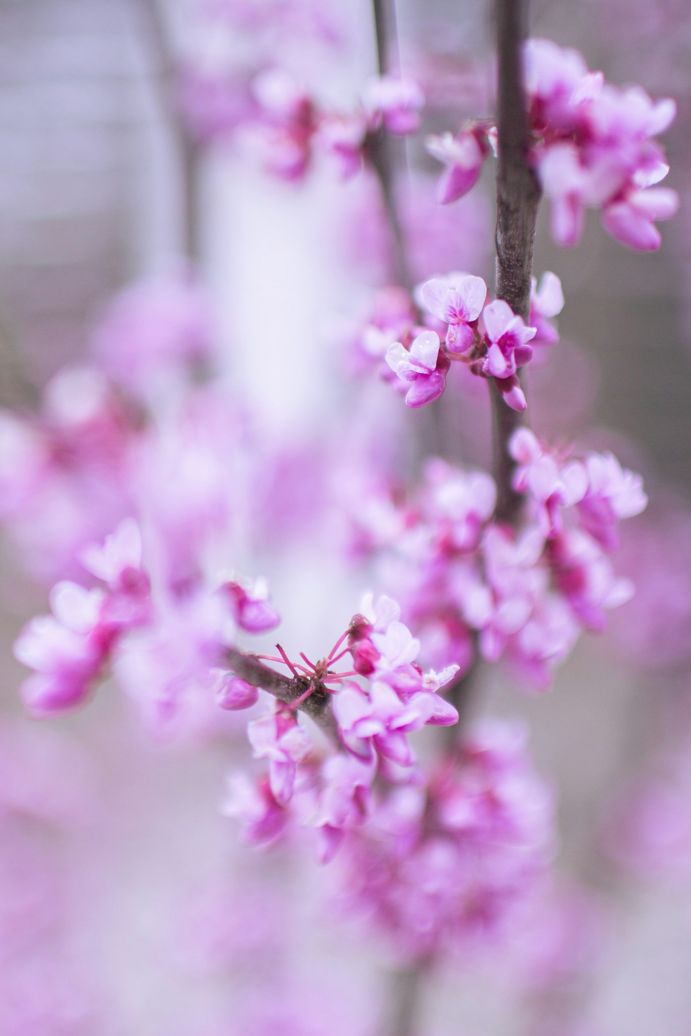 Photo by lisoglazka
