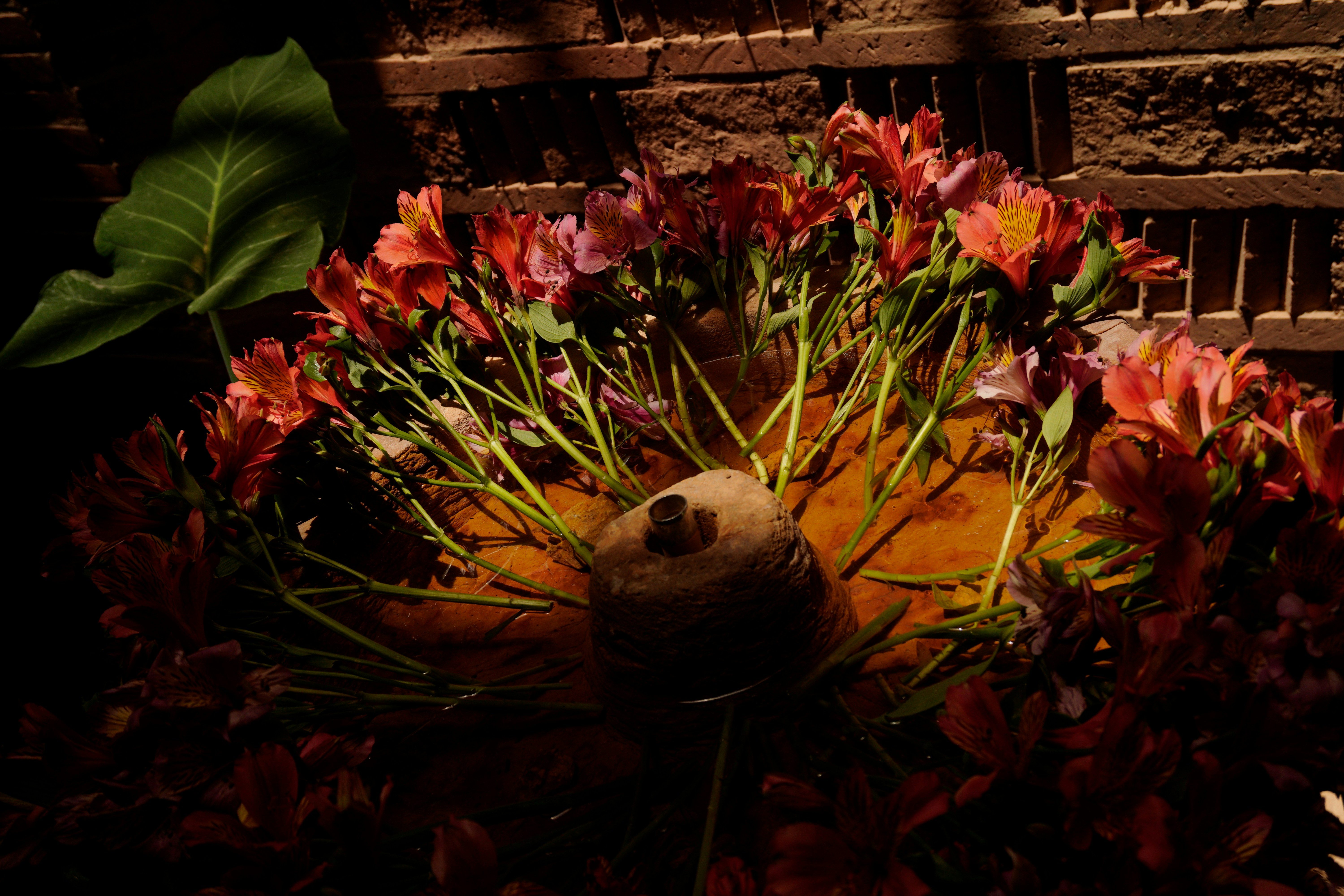 Un mazzo di fiori vivaci disposti attorno a una zucca.