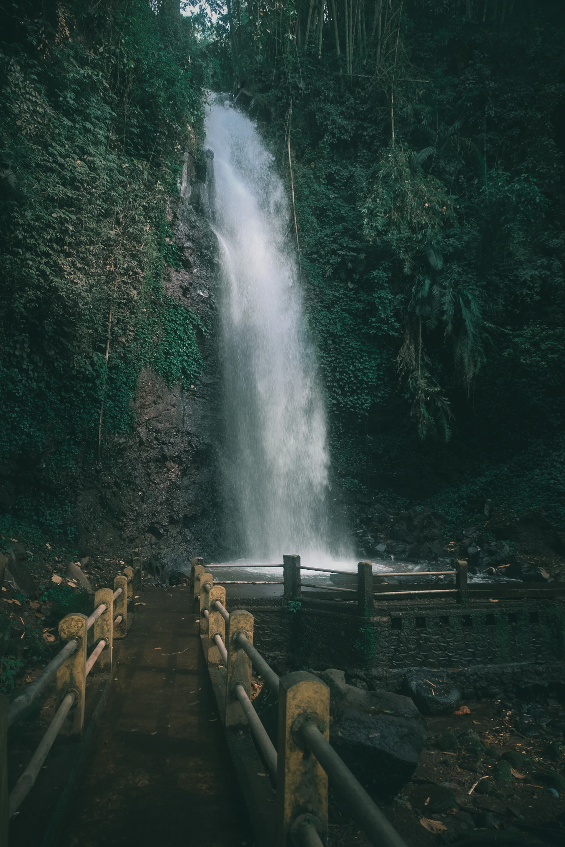 A tall waterfall cascades down a rocky cliff face.