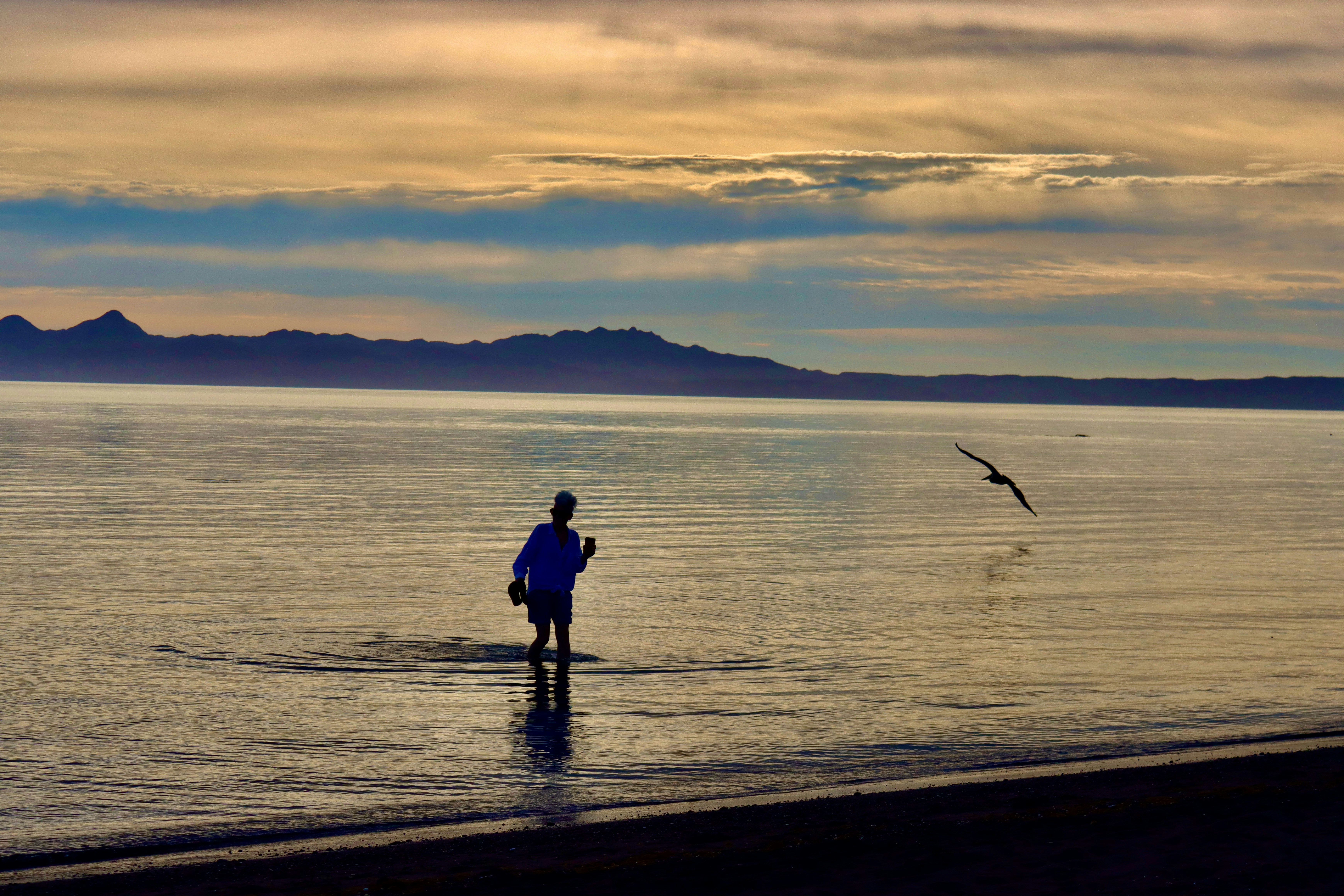 A person wades into the calm ocean at sunset.