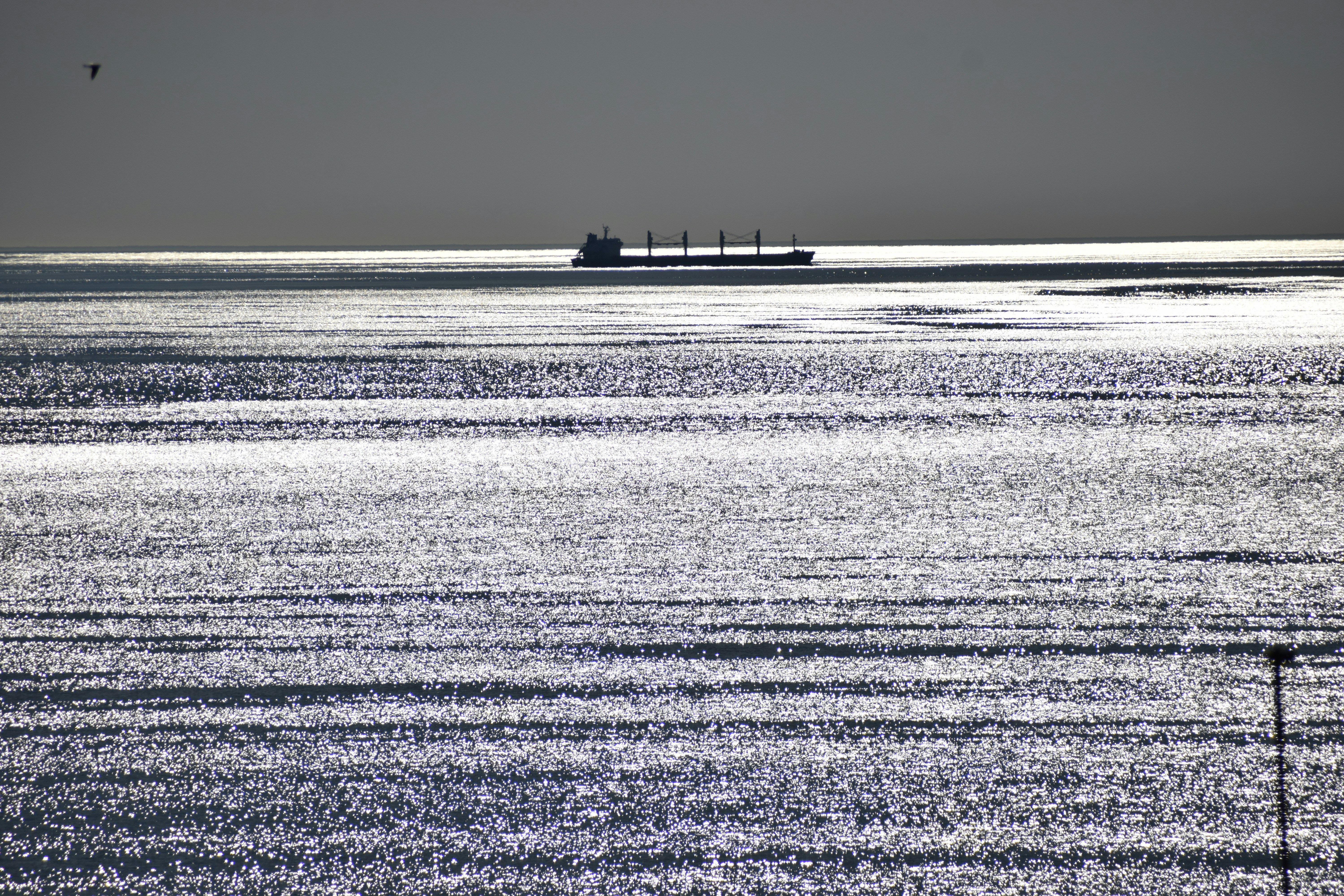 Una grande nave cargo naviga su un oceano scintillante.