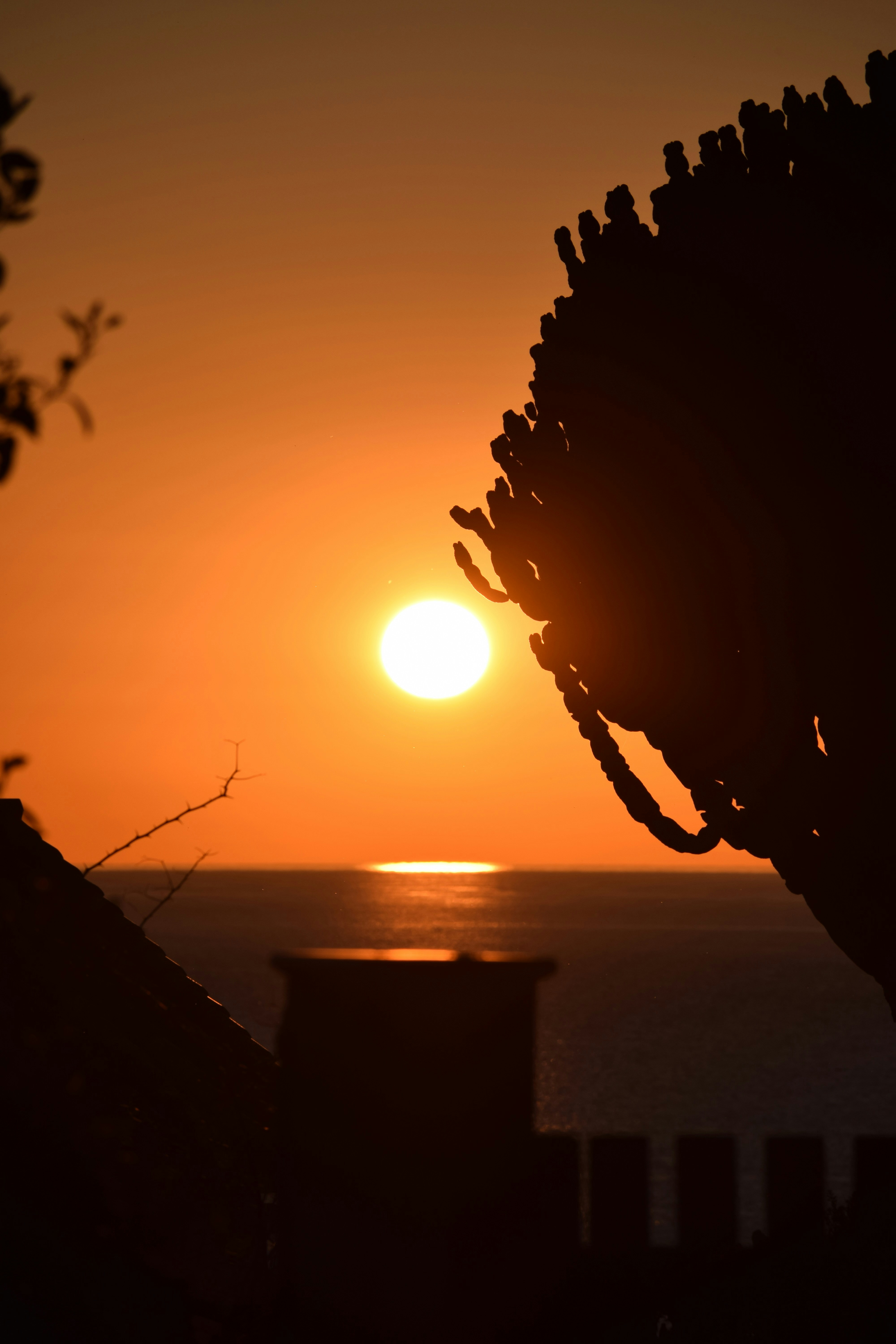 Sole dorato che tramonta sull'orizzonte dell'oceano.
