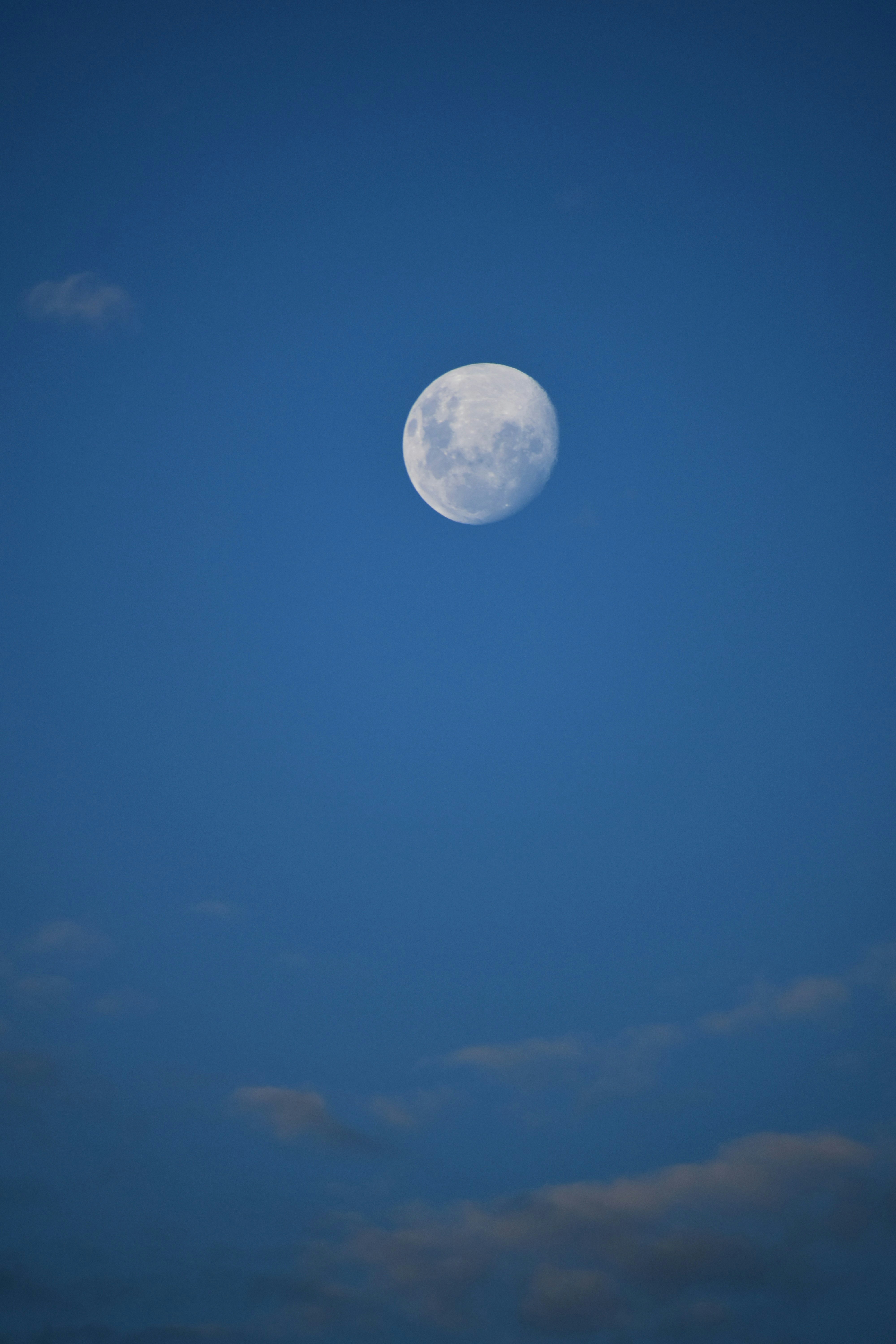 Photo by wolfke74