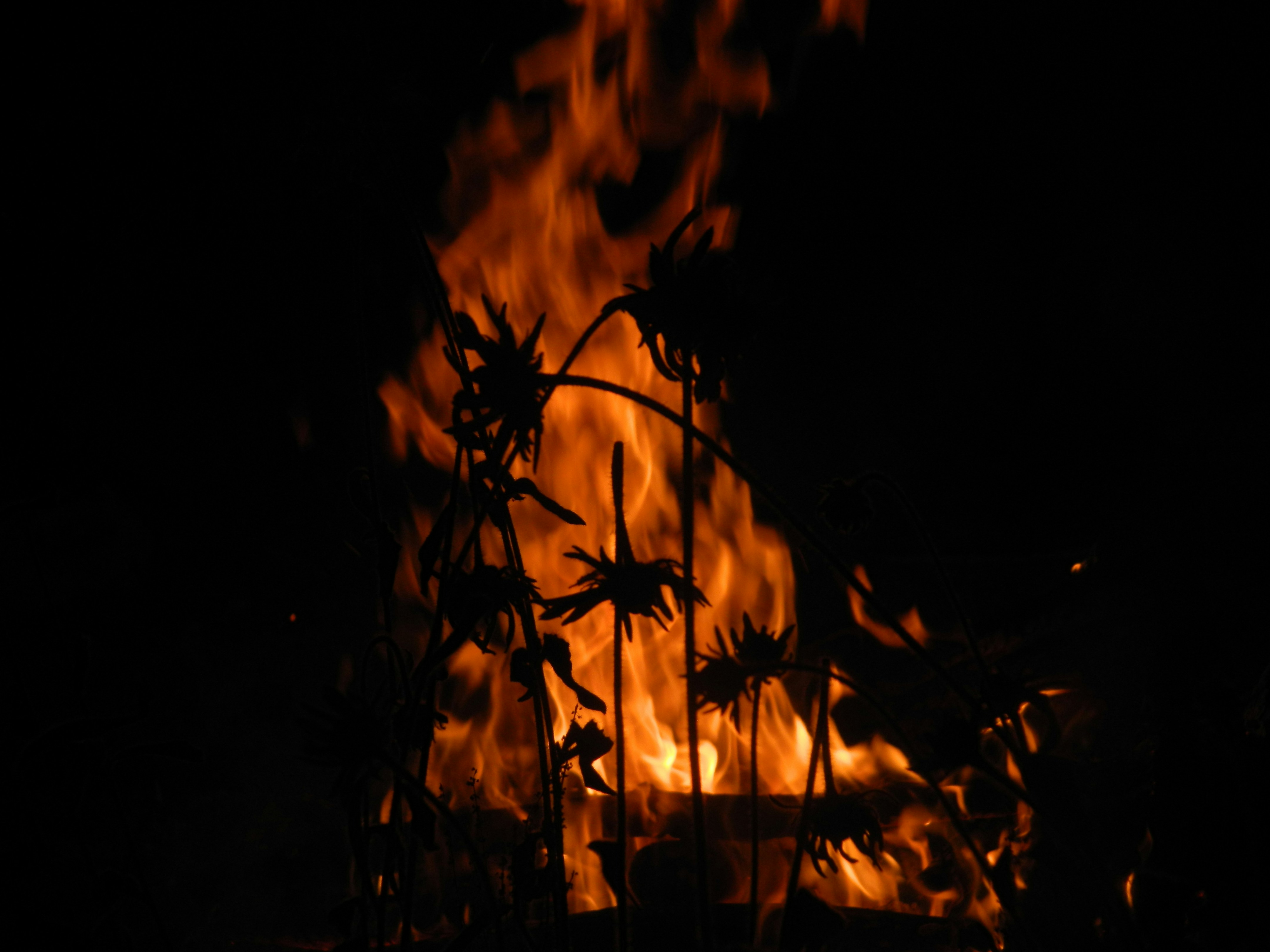 Flammen, die nachts dekorative Metallblumen verschlingen