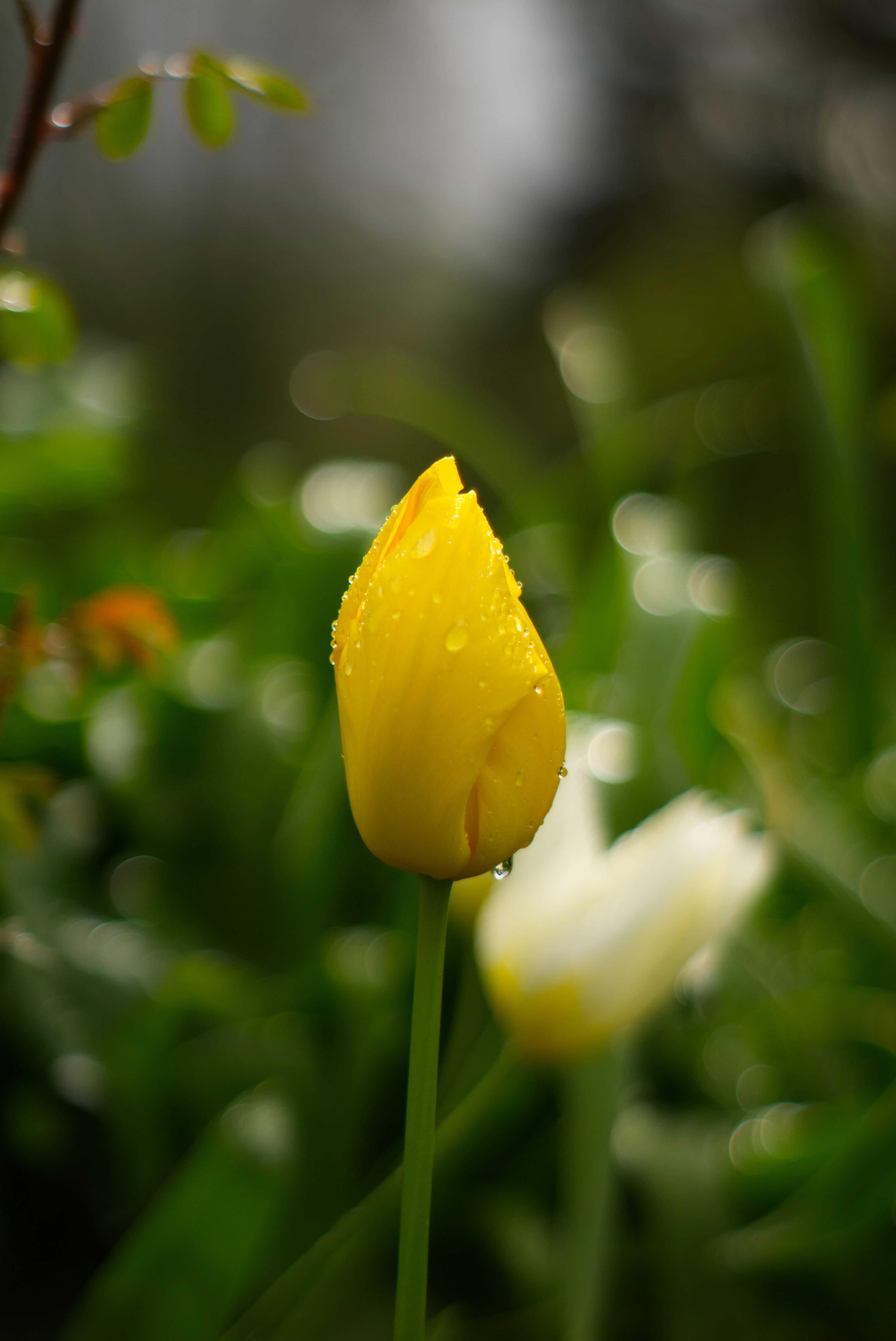 Photo by ogiver12