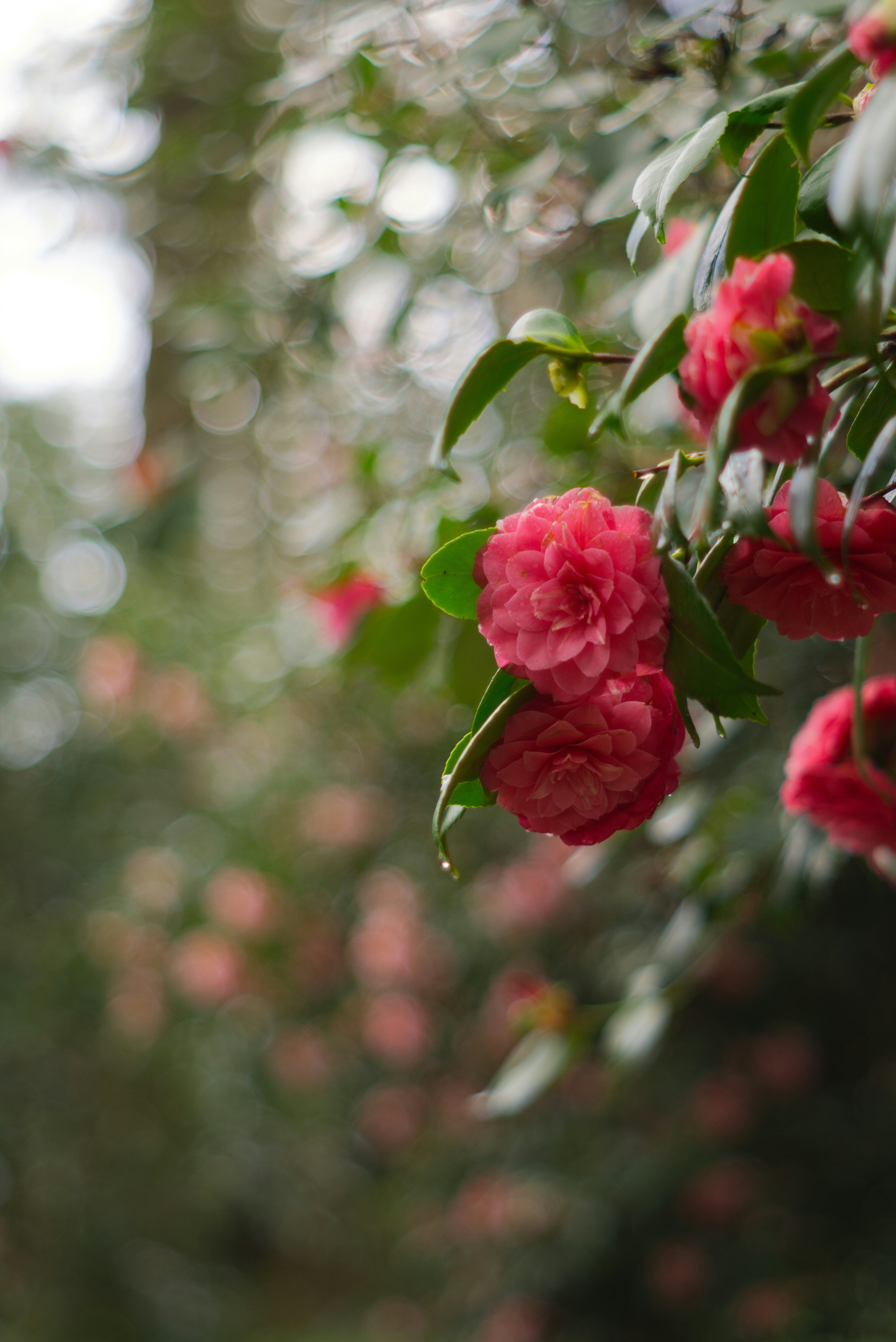 Photo by ogiver12