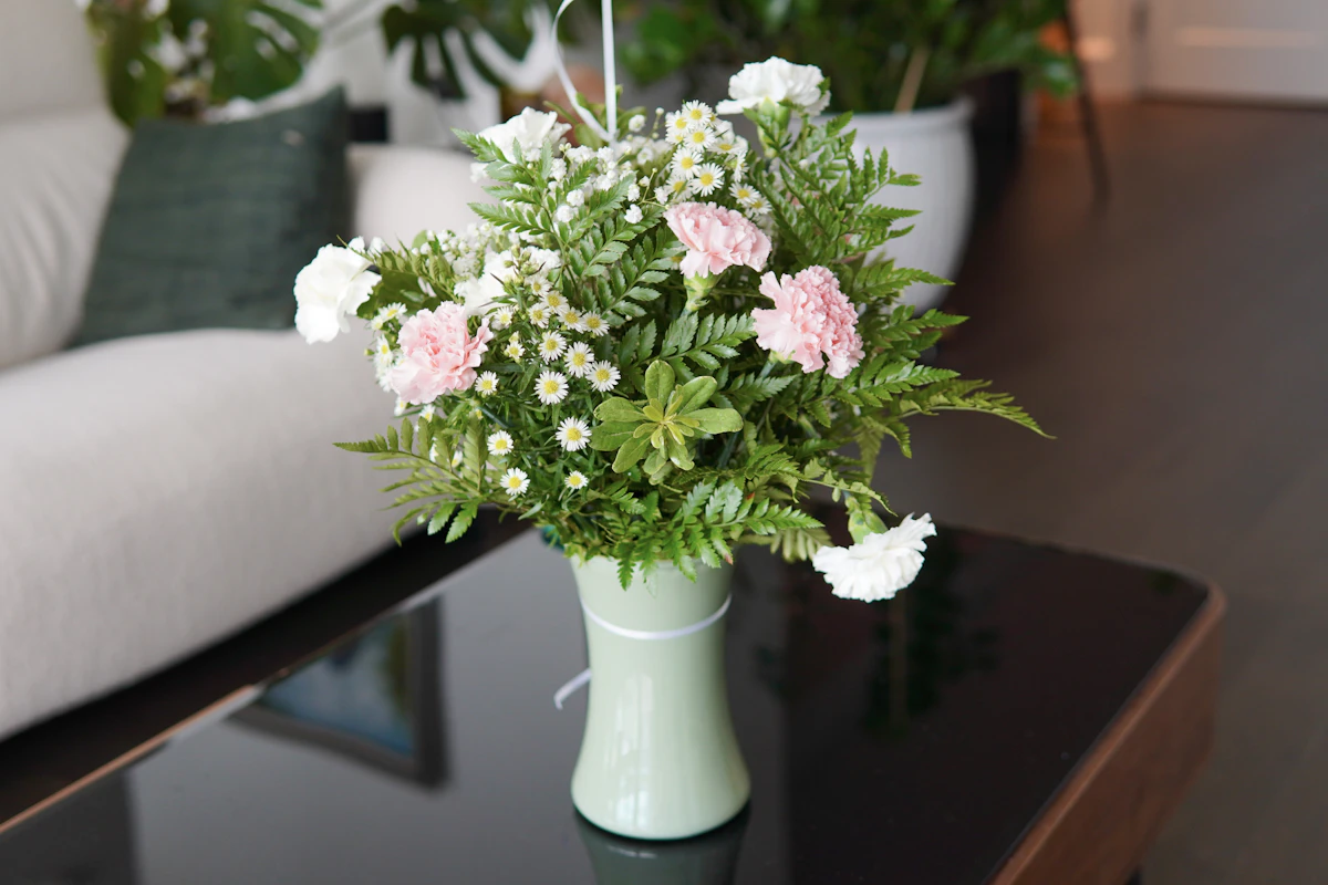 Boston Fern India — Hanging Basket Air Purifier Complete Guide