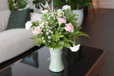 Boston Fern India — Hanging Basket Air Purifier Complete Guide
