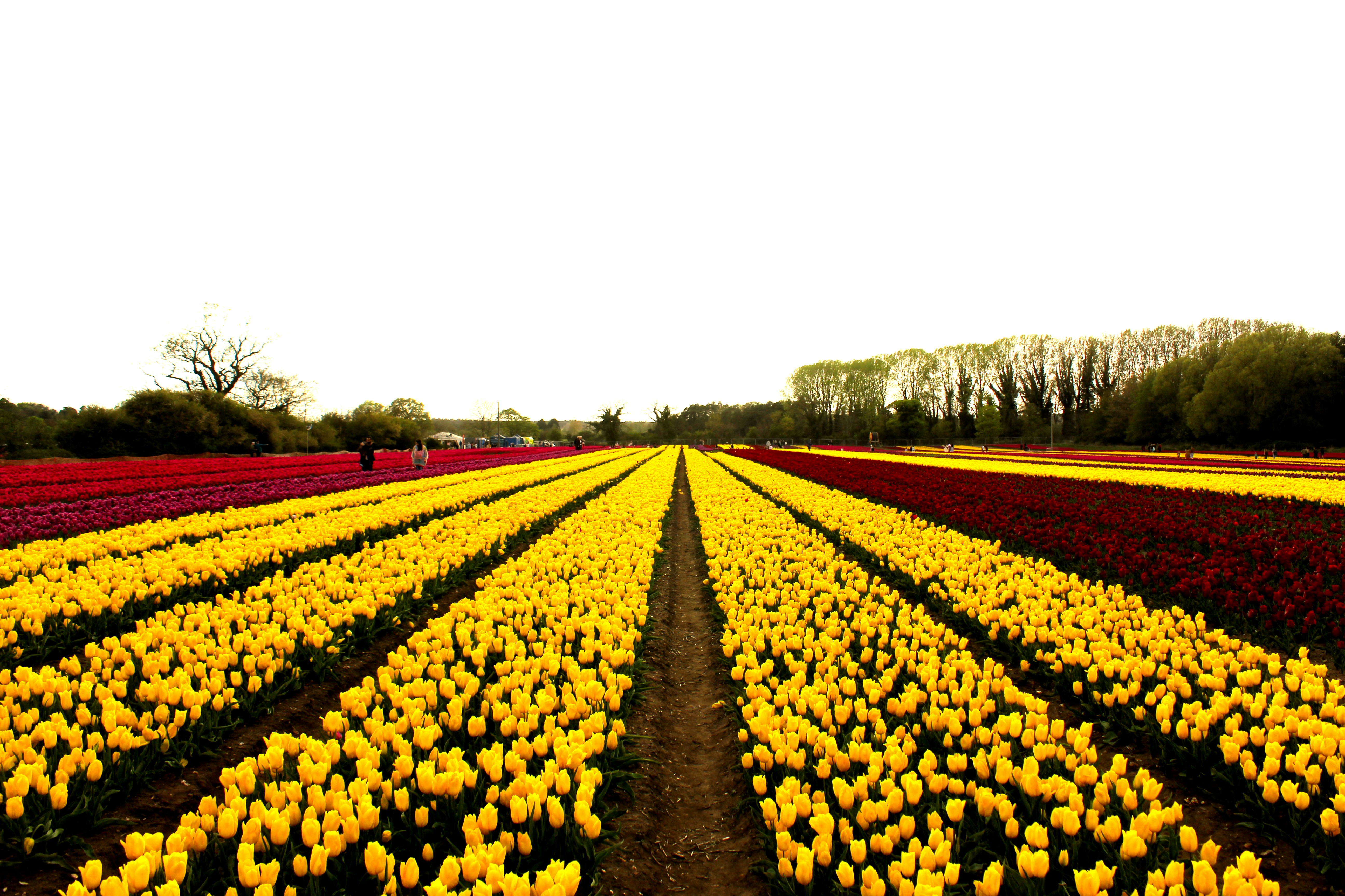 Photo by tomstuffuk