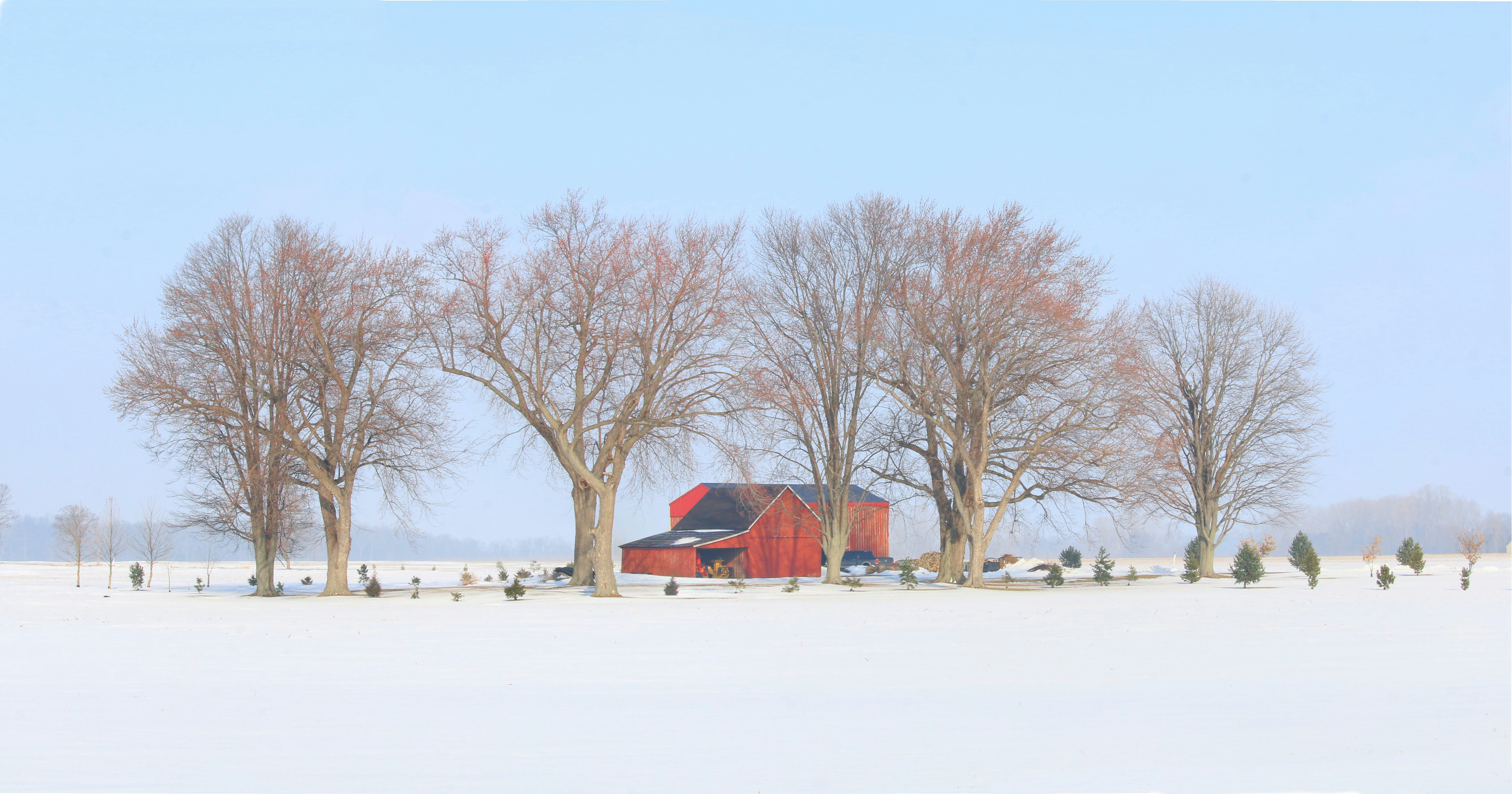 A red barn nestled among bare trees in winter.