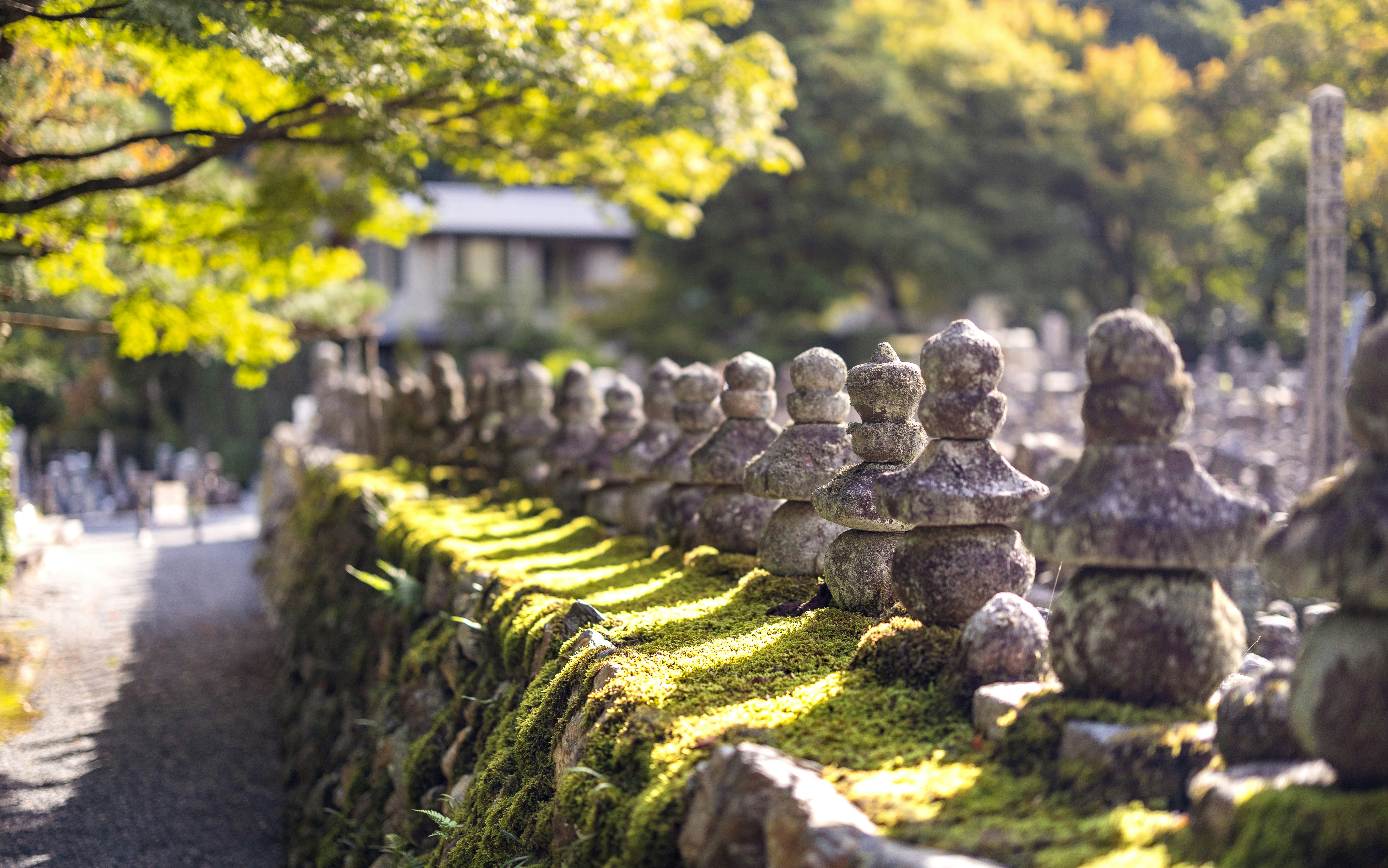 Photo by marekpiwnicki