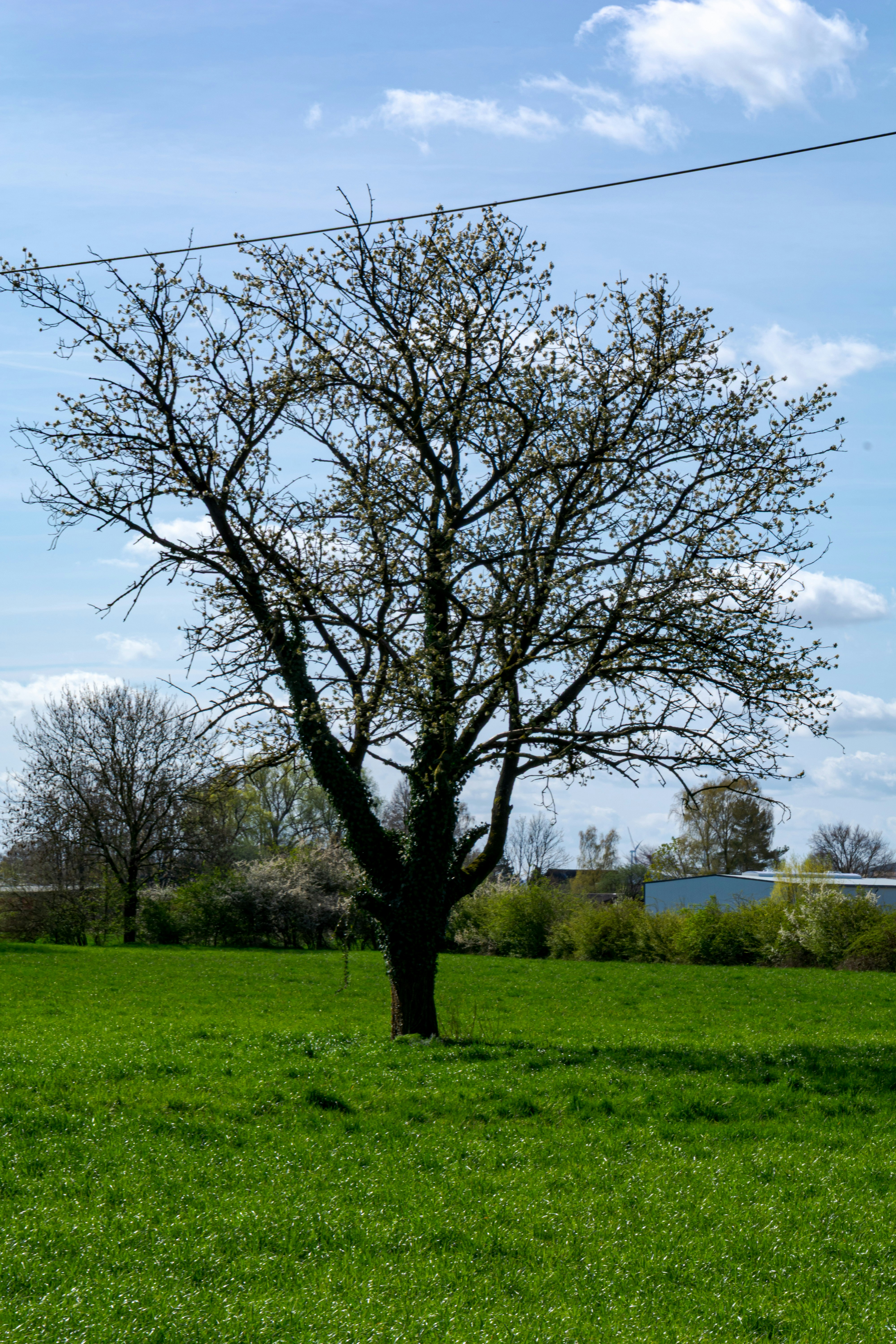 Photo by skstrannik