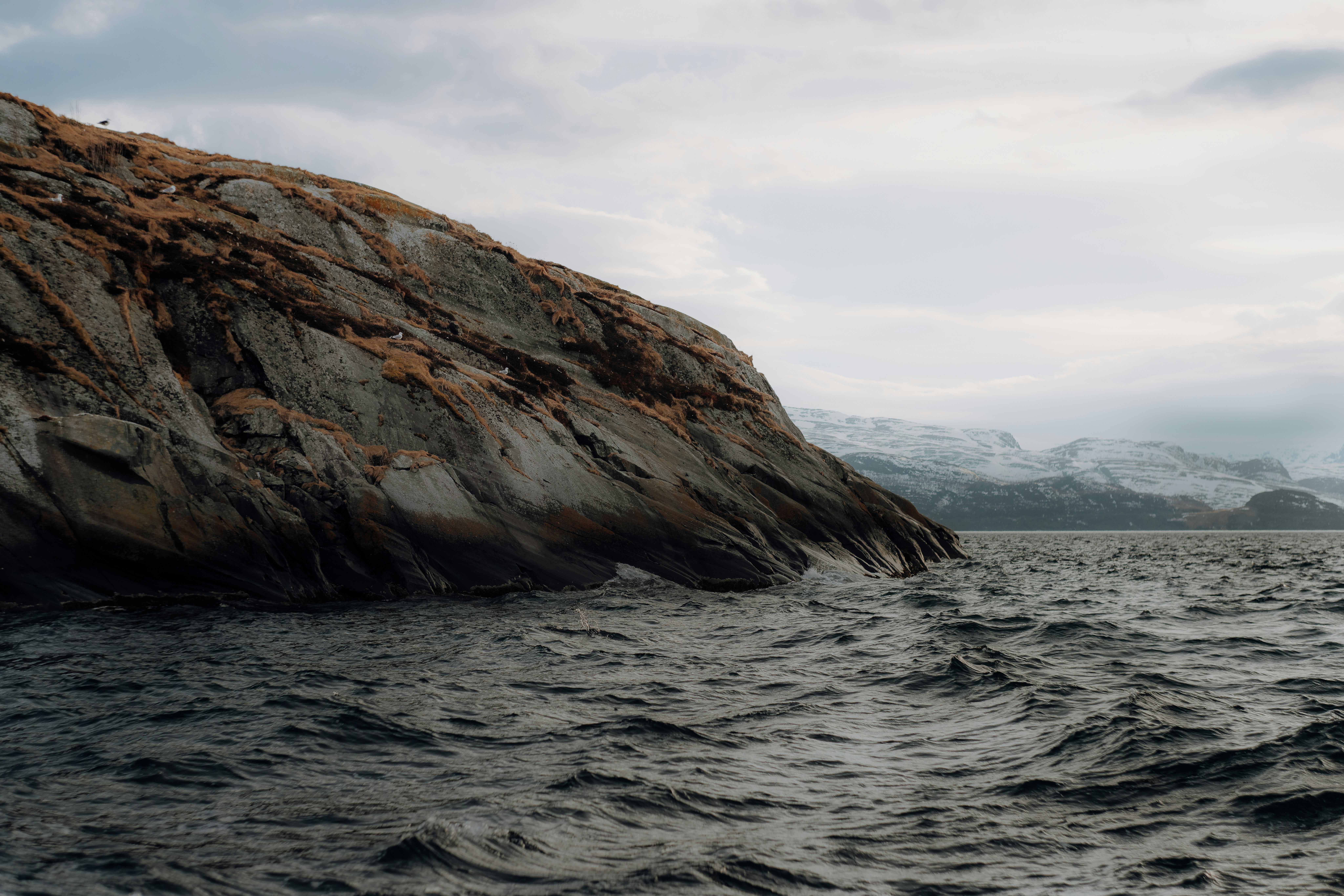 Photo by stiigern