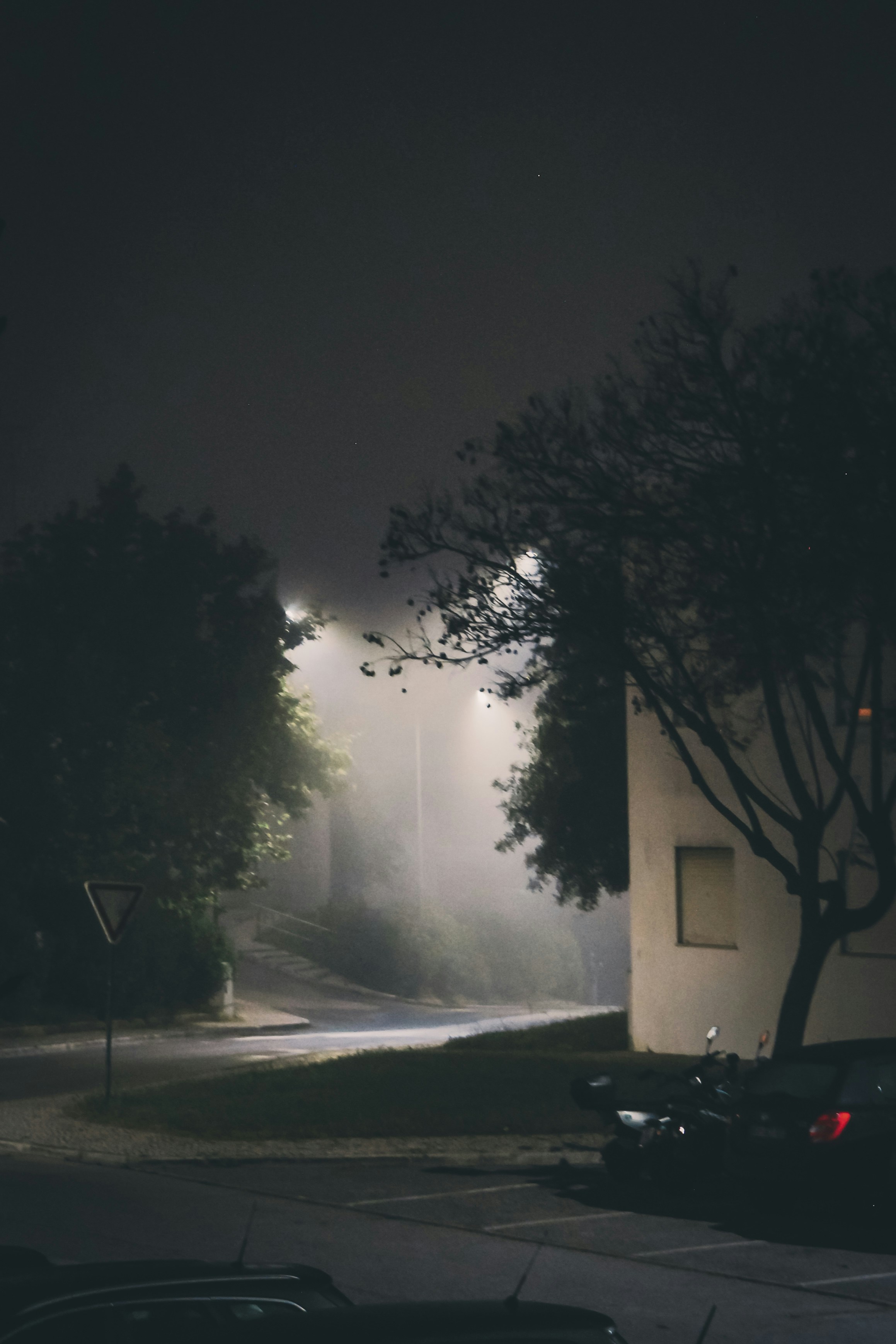 Photo by padi26