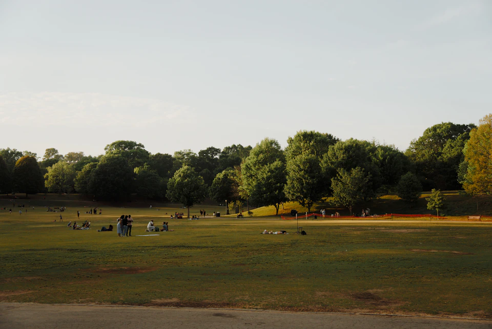 Serene park scene with people walking or sitting amidst lush green grassy field