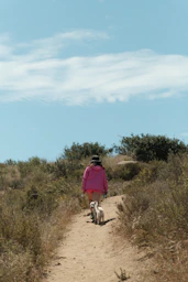 Woman walks two dogs on a dirt path
