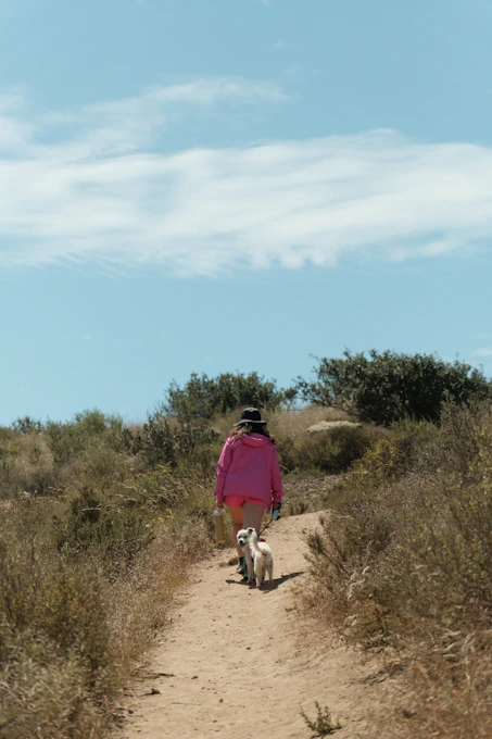 Woman walks two dogs on a dirt path