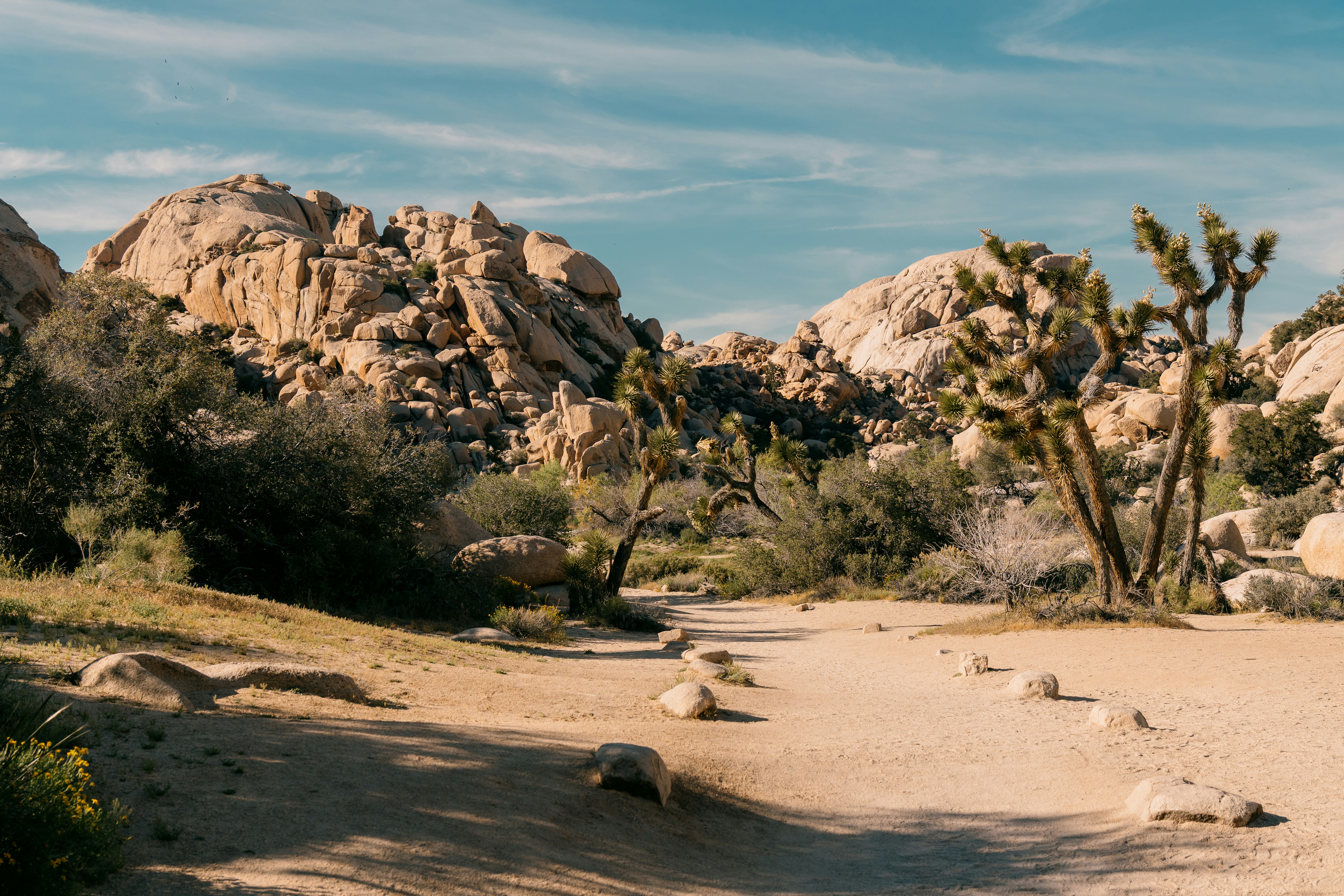 Pourquoi s’entourer de bons professionnels et planifier chaque étape est la clé d’une rénovation de maison fluide, maîtrisée et satisfaisante sur tous les plans