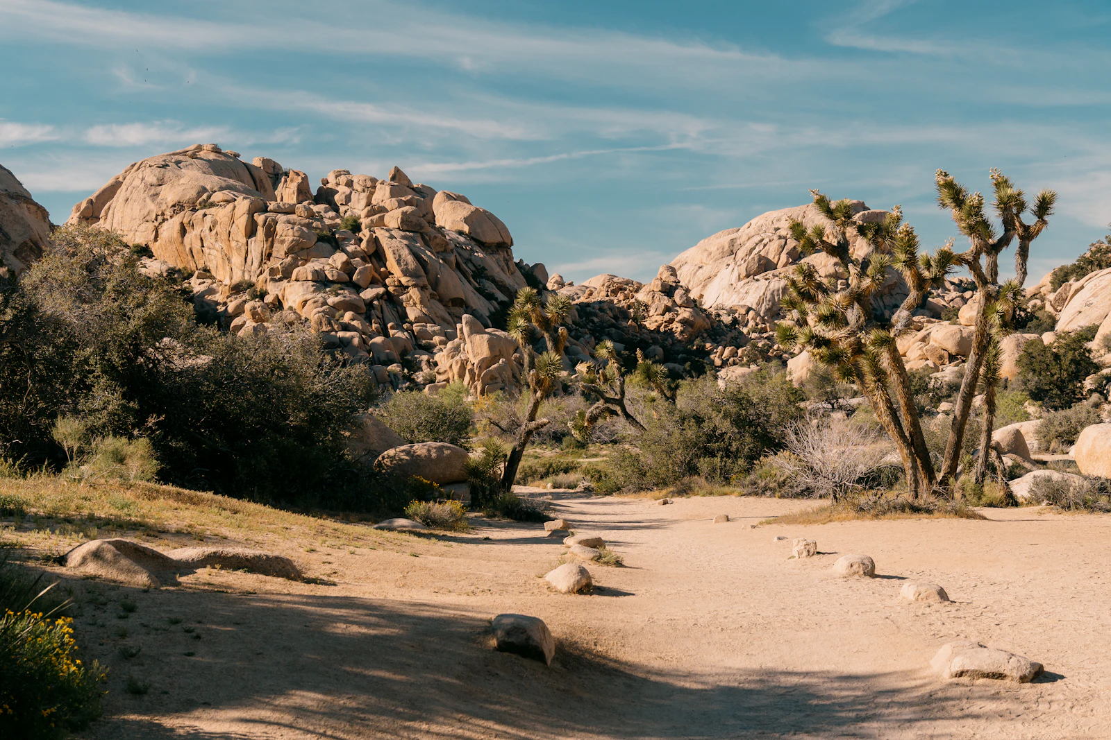 Joshua Tree rock formations near Palm Springs family hiking trip Clear photo from Unsplash