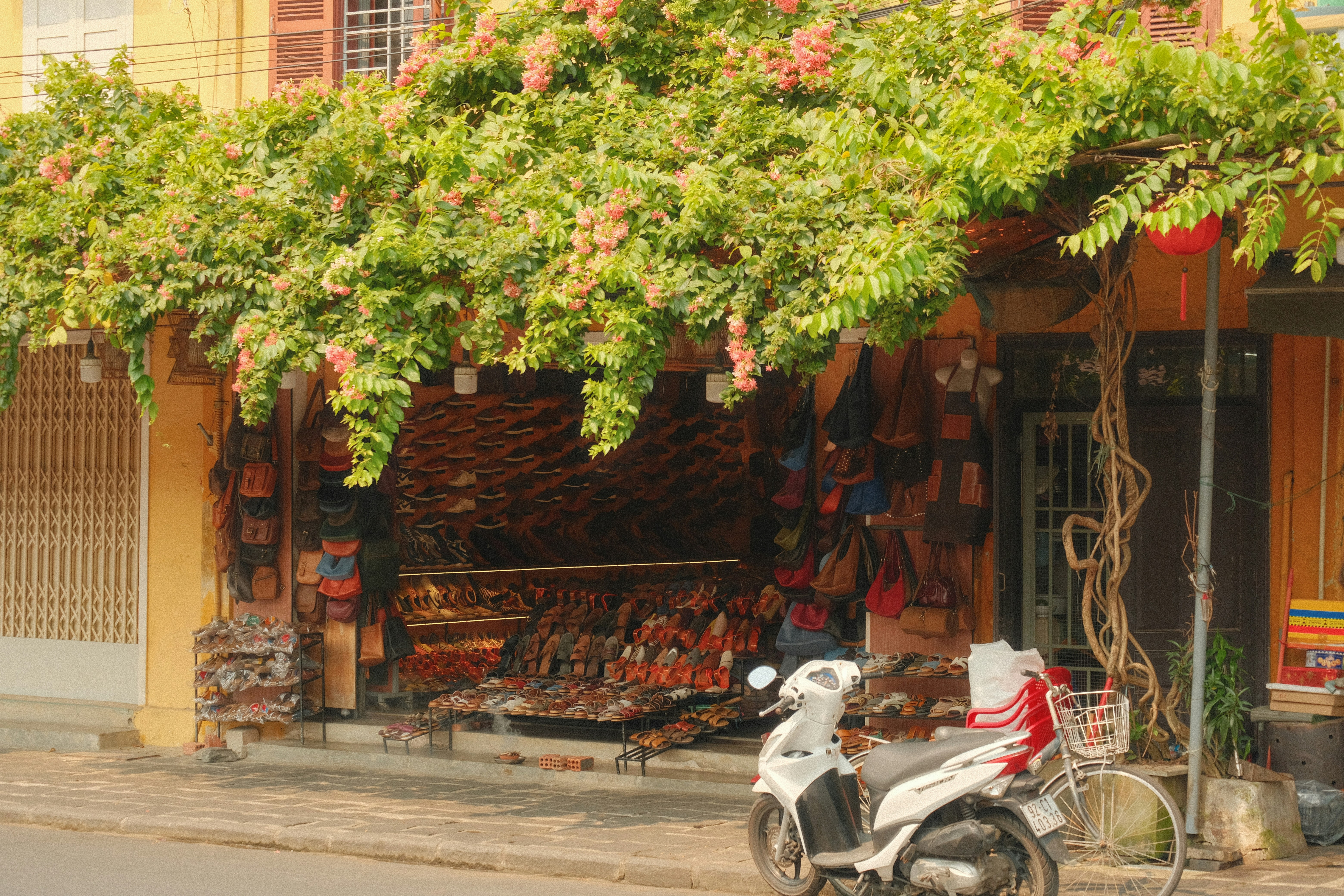 Shop entrance covered by lush green vines
