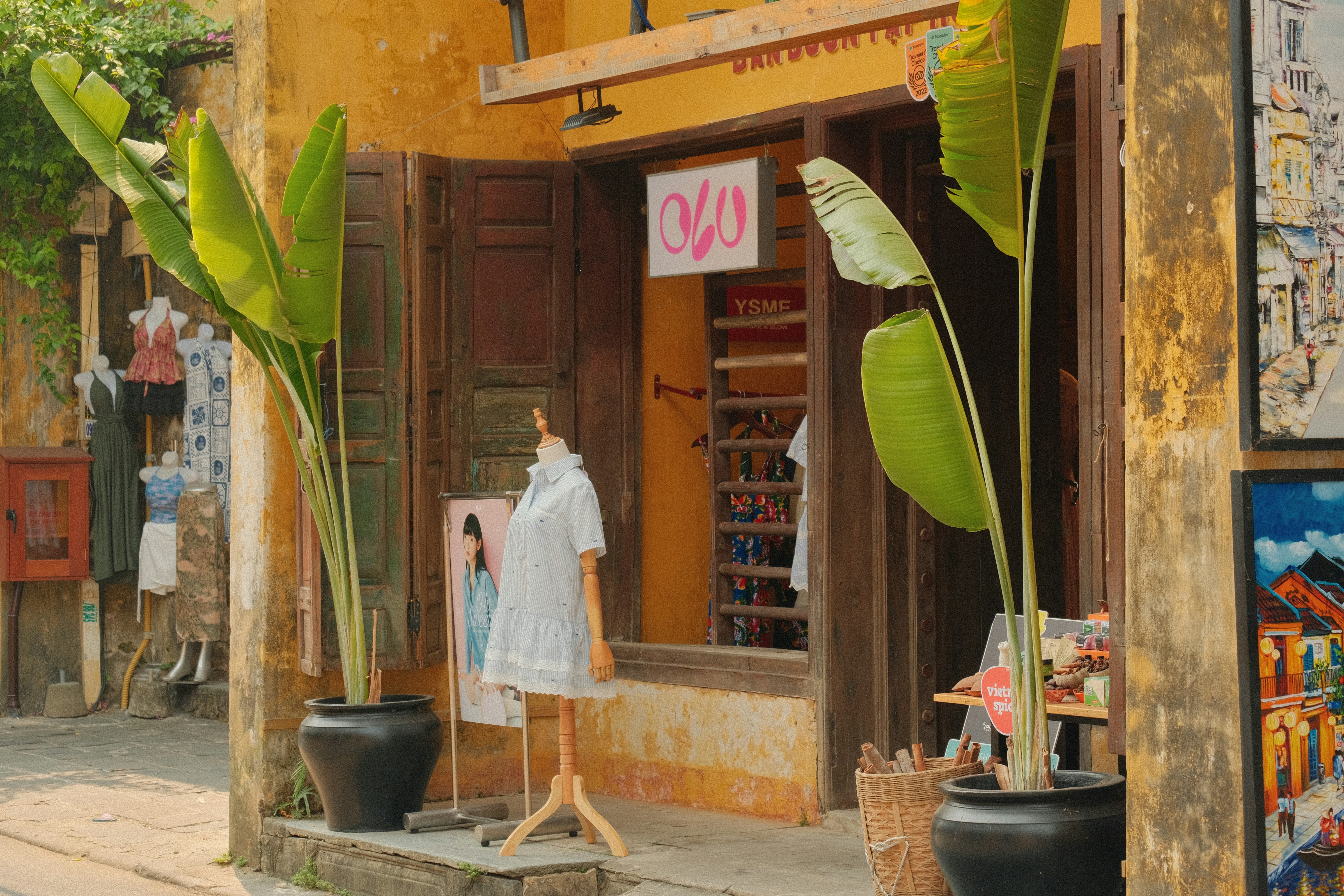 A quaint shop with plants and a mannequin.