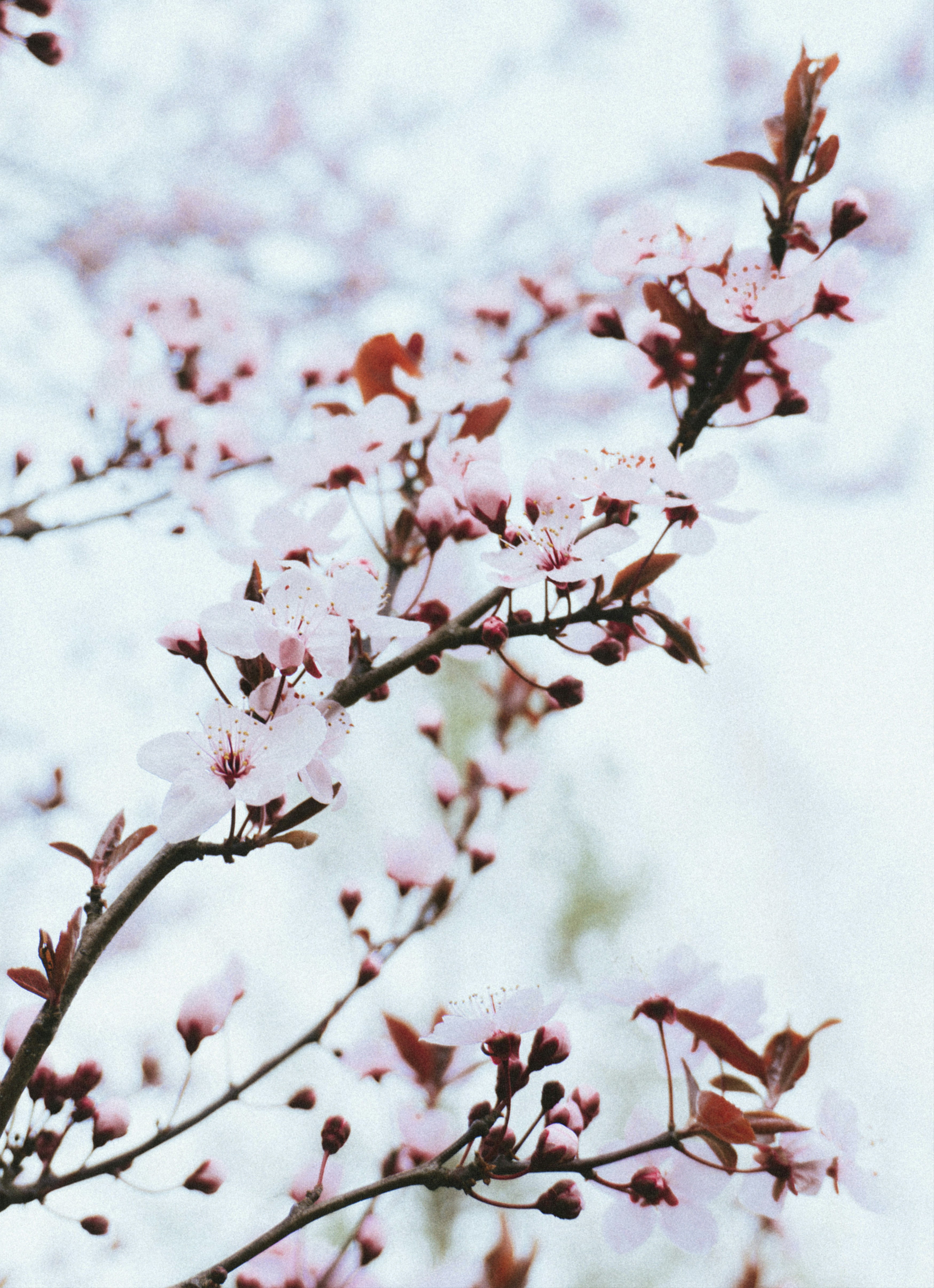 Photo by freddieaddery