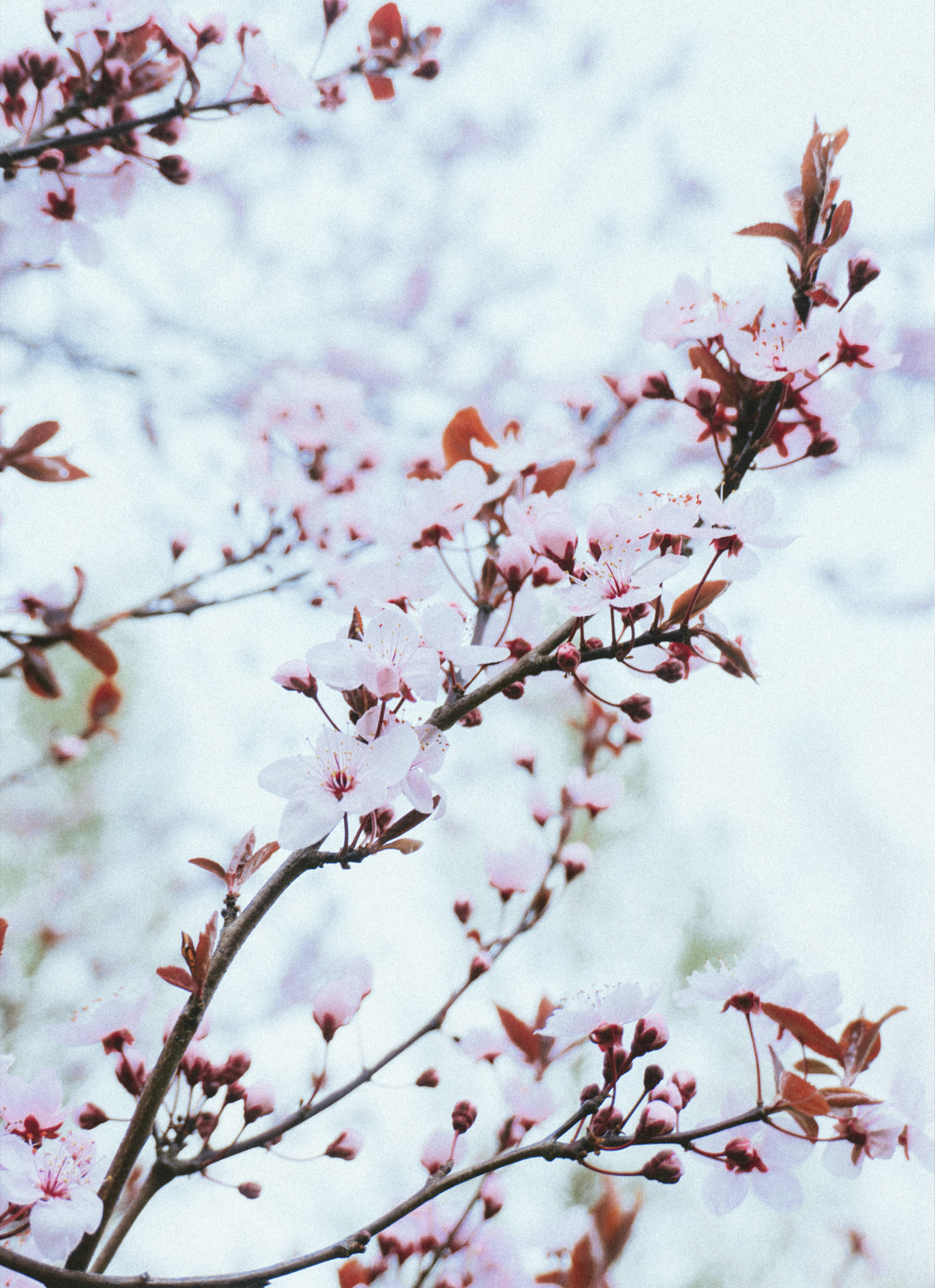 Photo by freddieaddery
