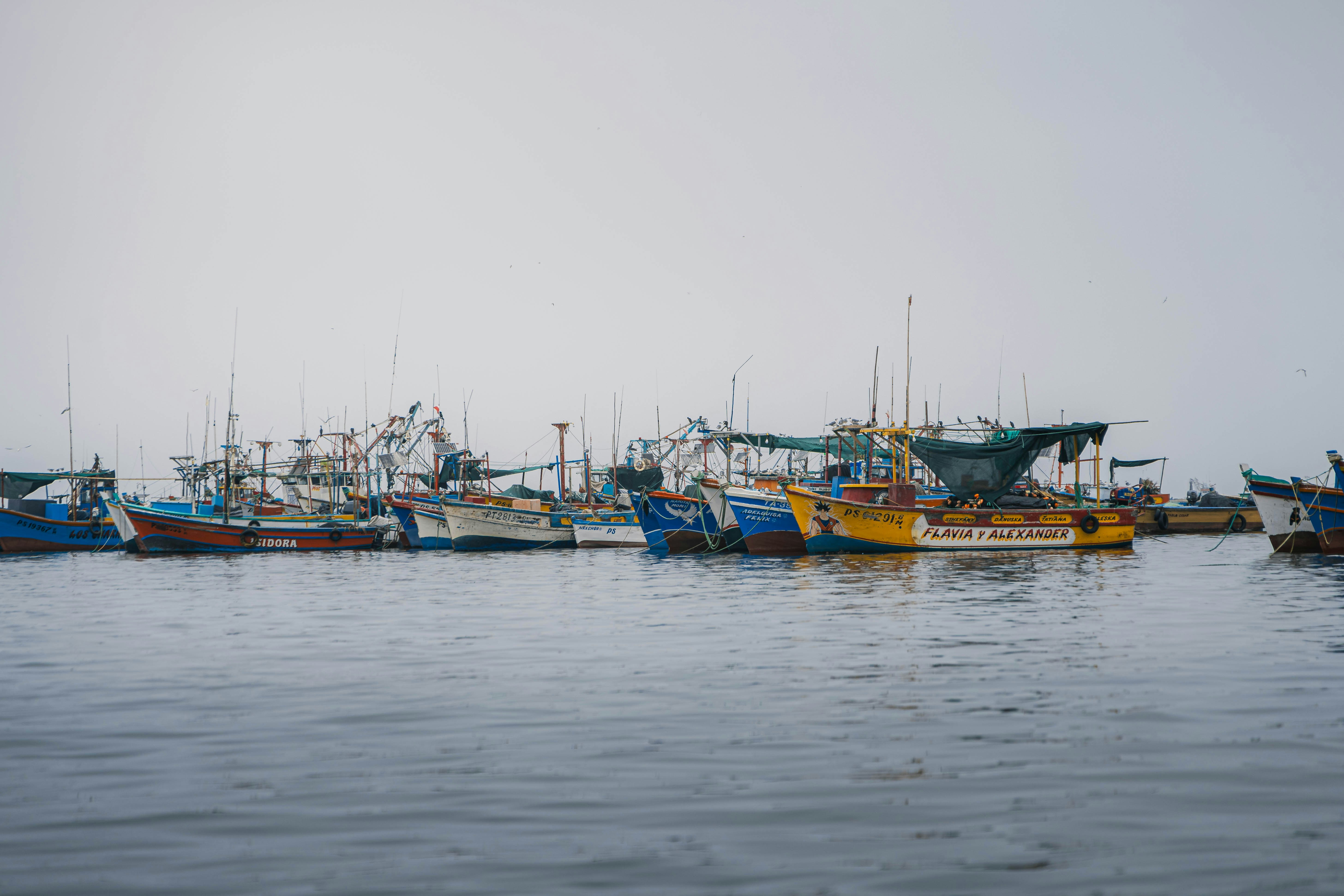 Several fishing boats docked in a harbor