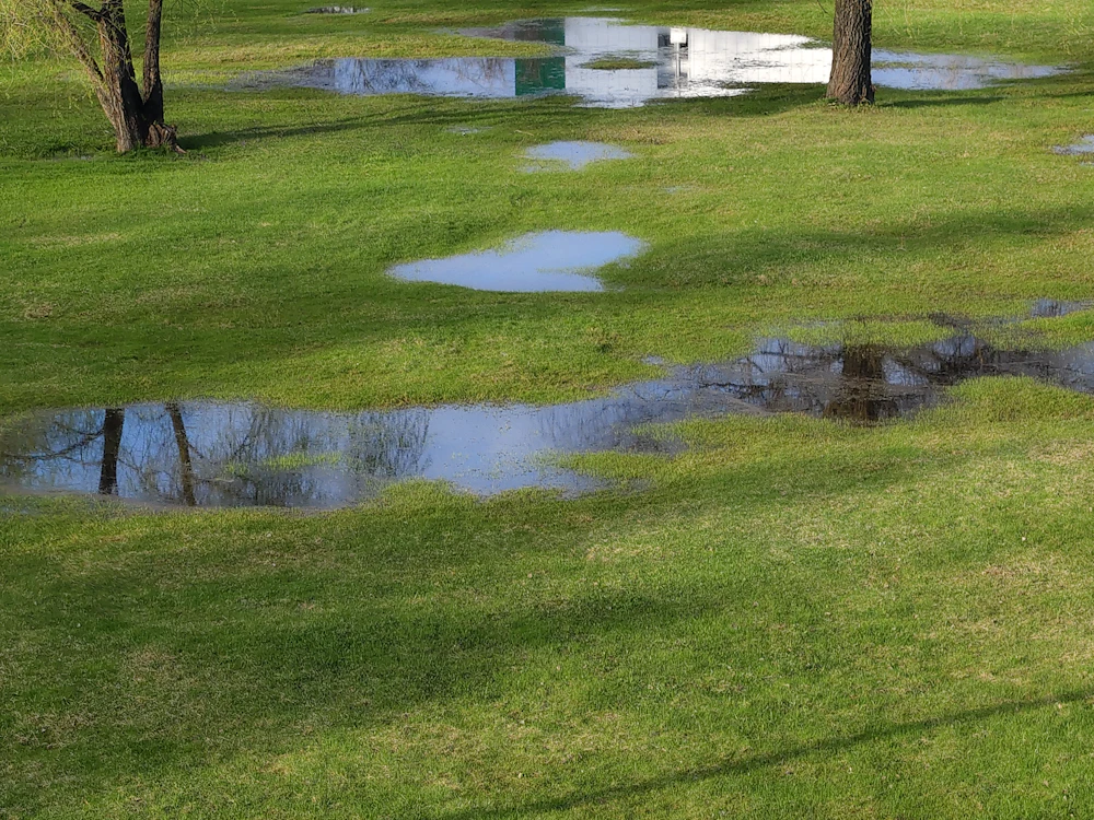 Standing water pooled across a residential lawn after rainfall
