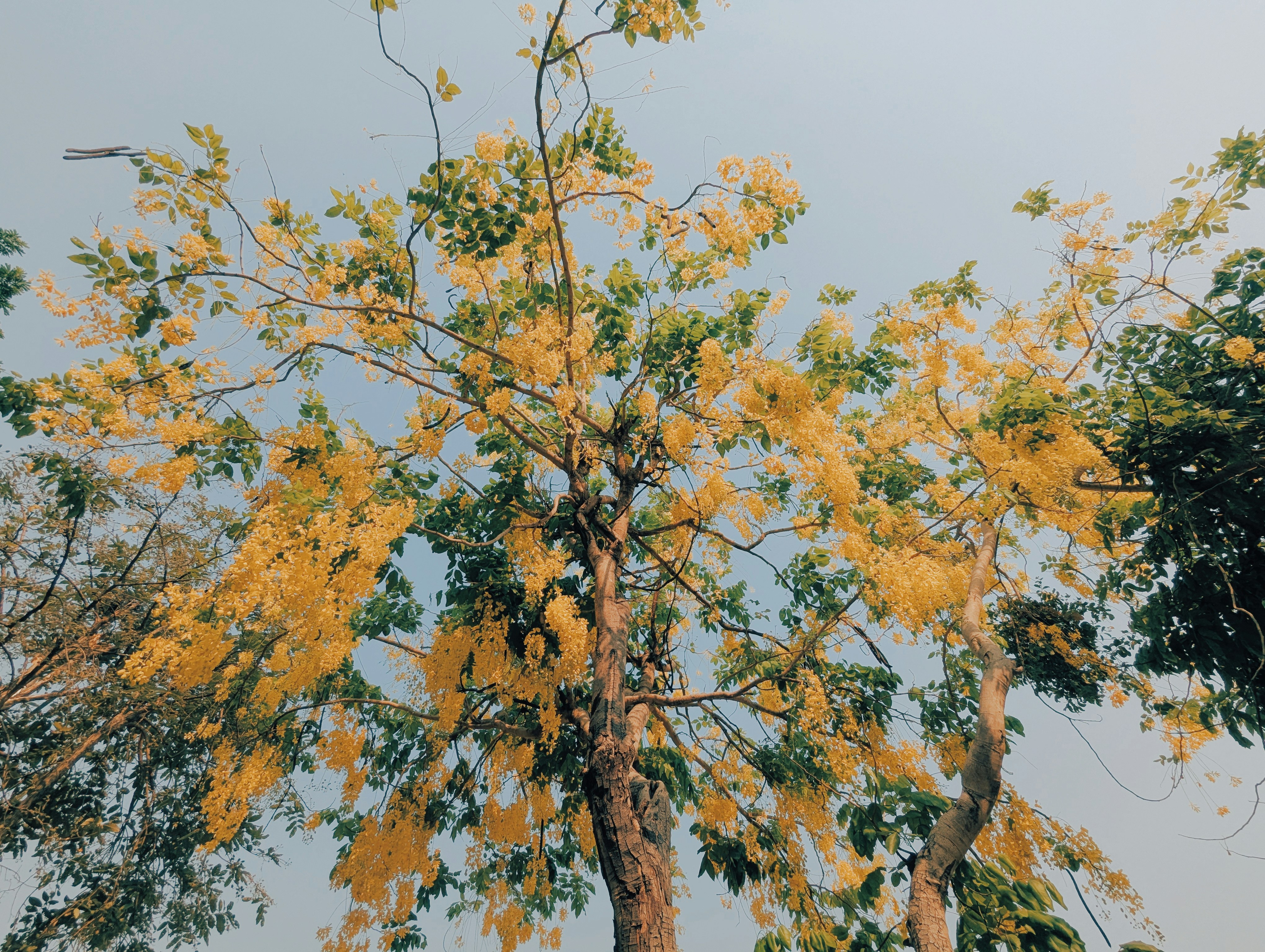 Photo by notethanun