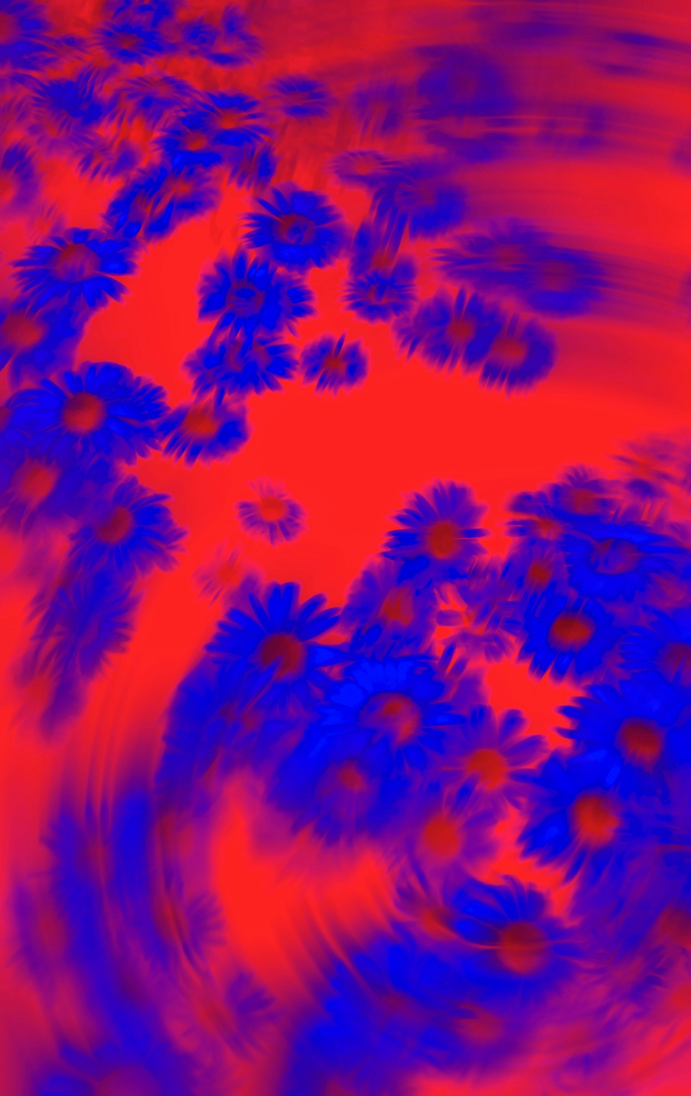 Un campo di fiori blu su sfondo rosso