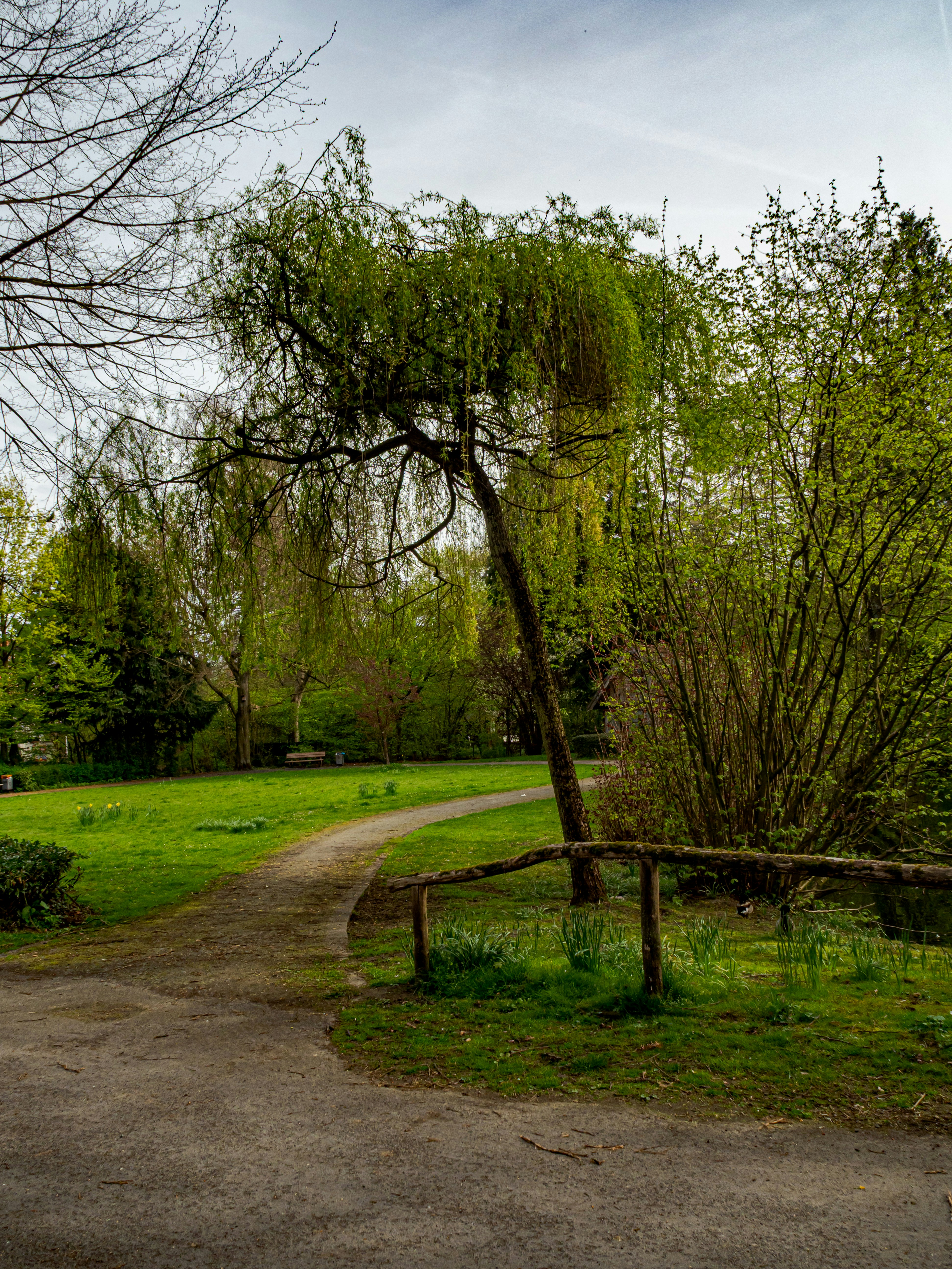 Photo by skstrannik
