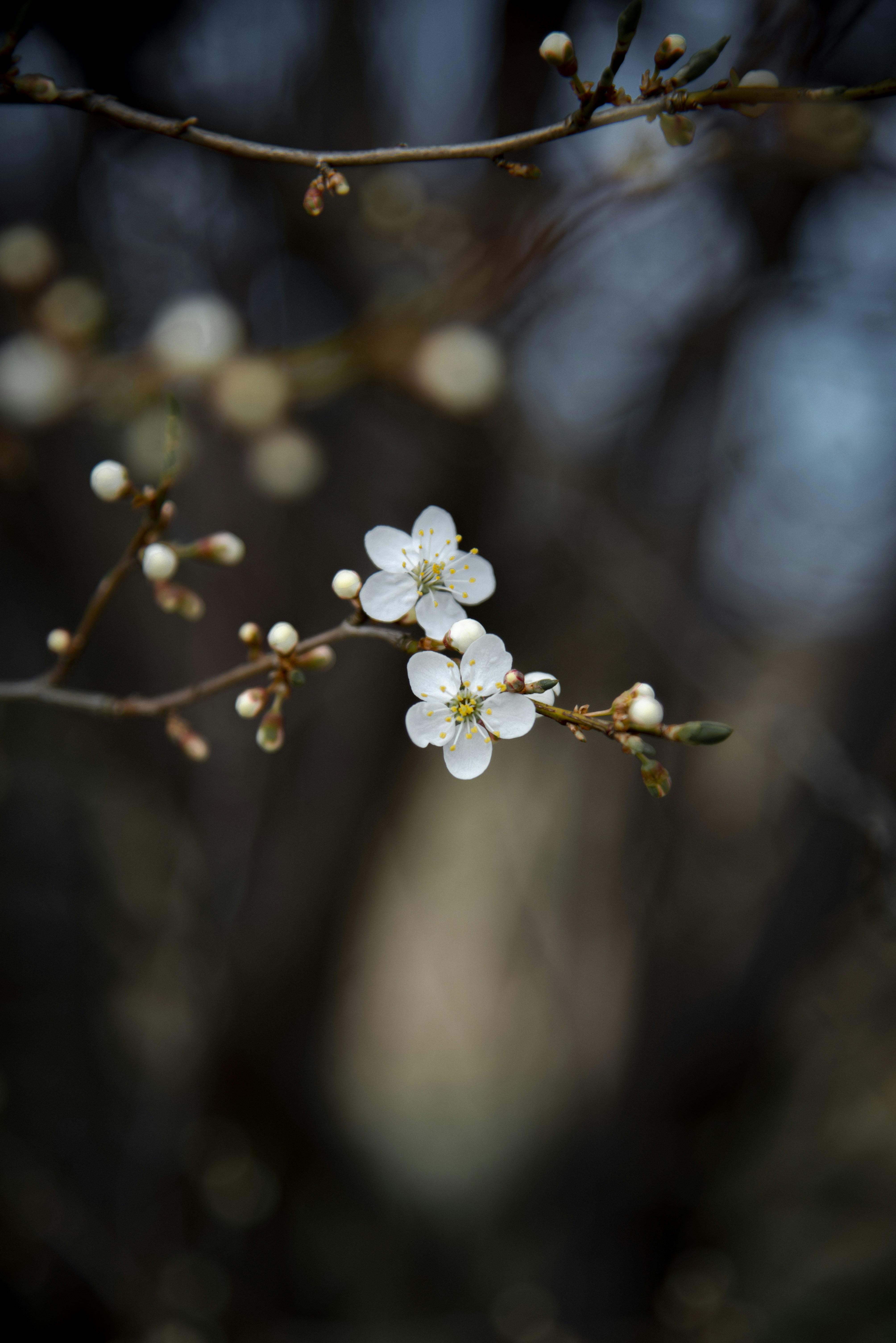 Photo by malwinanogaj