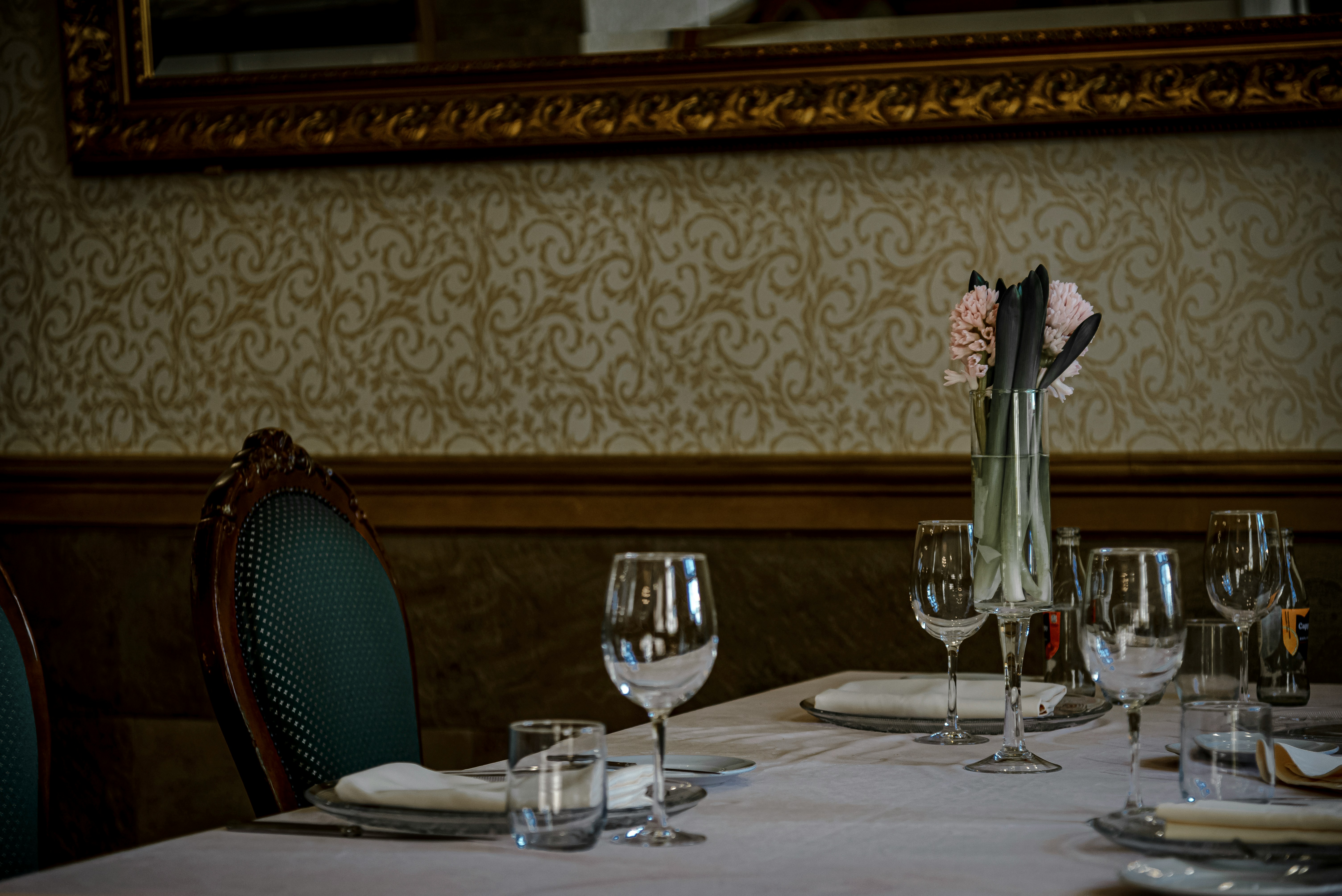 Defining Excellence: The Hallmarks of Truly Premium Companionship in Today's Market