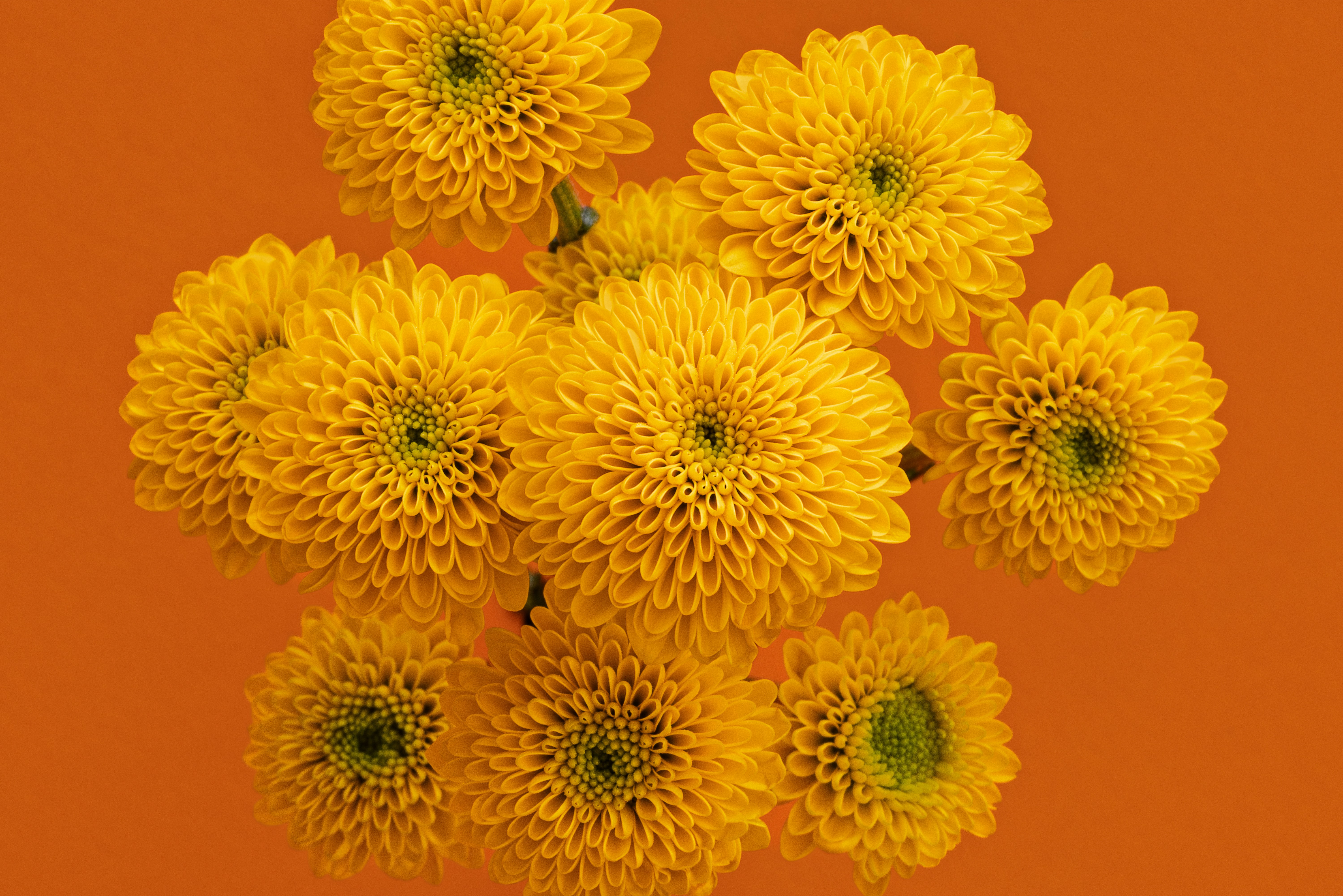 From plant-based PDRN, functional naturals, and exosomes ... a few of the trends seen at InCosmetics 2026