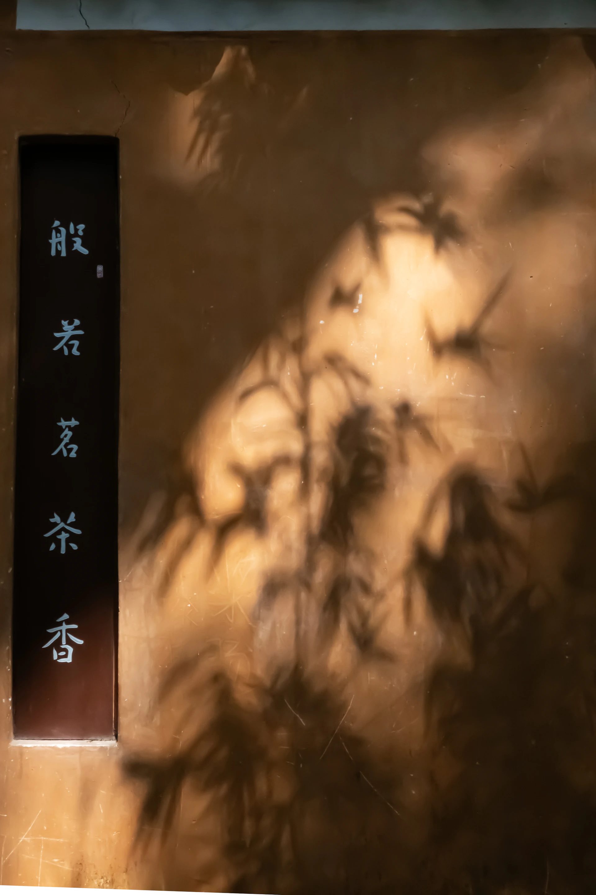 Shadows of bamboo leaves on a textured wall